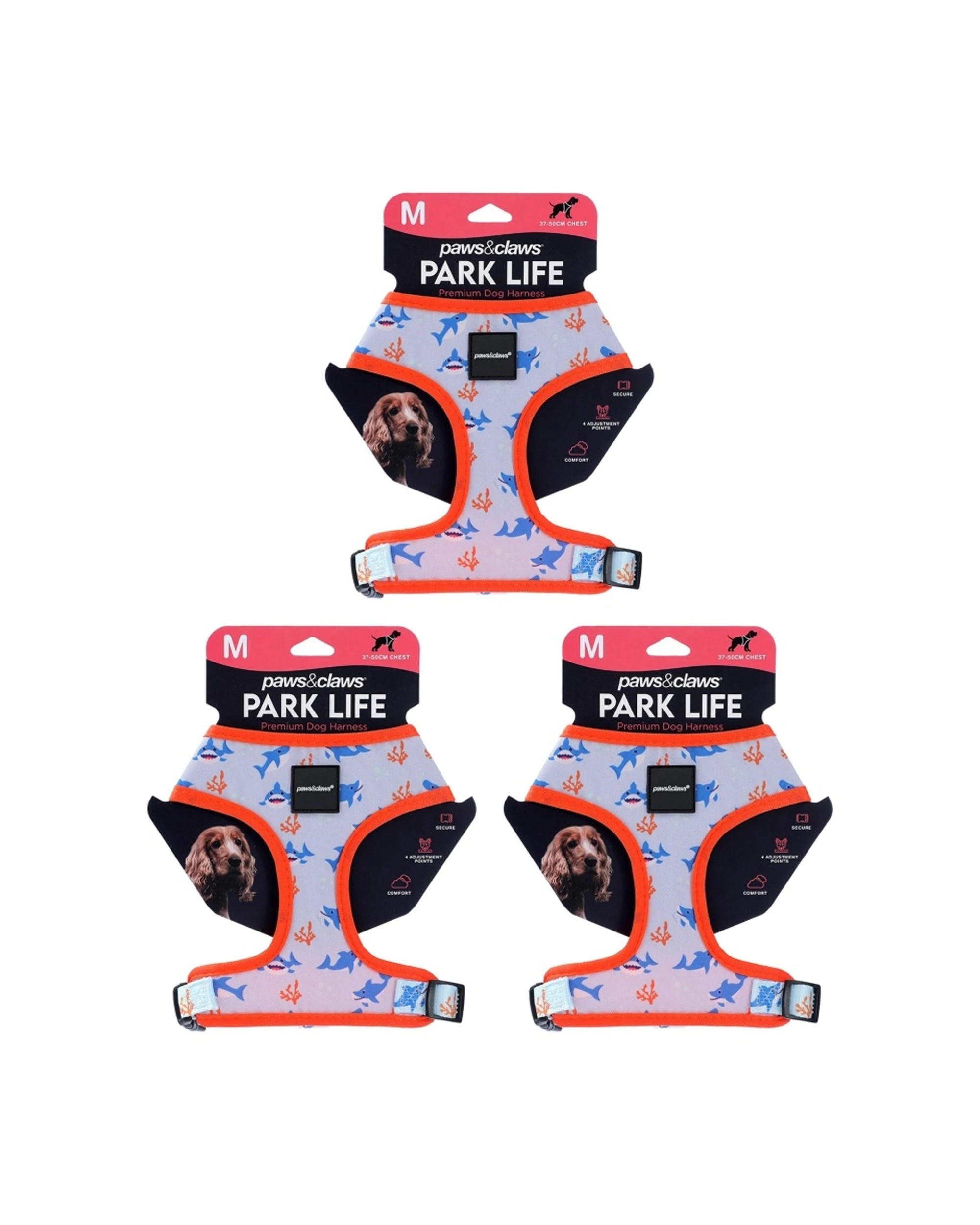 1 Paws & Claws 3x 4pc Park Life Printed Pet Dog Harness Set Medium 37-50cm - Assorted, 1 of 7