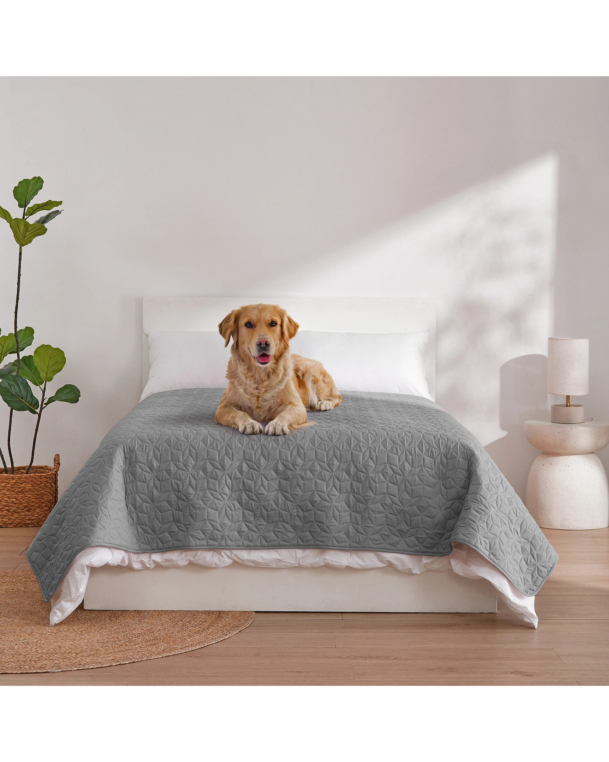 1 Charlie's Sofur Waterproof Dog Bed Cover Protector Double/Queen 208x208cm - Double/Queen - Grey, 1 of 10