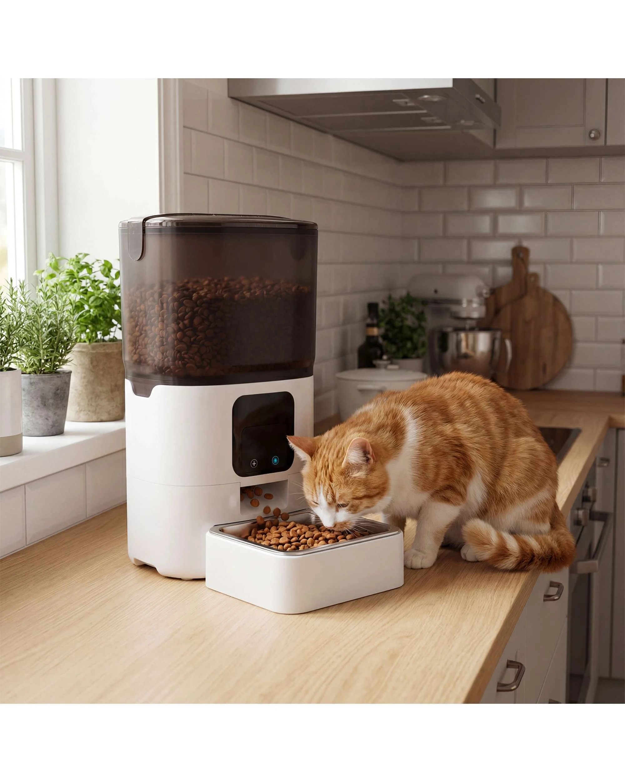 7 Advwin 6L Automatic Pet Feeder WIFI Smart Cat Feeder, 7 of 8