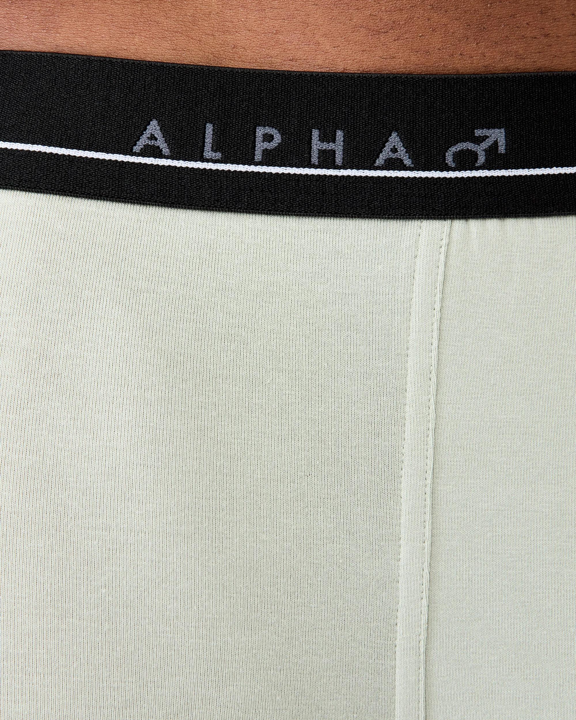 9 5 Pack Plain Trunks Greens, 9 of 10