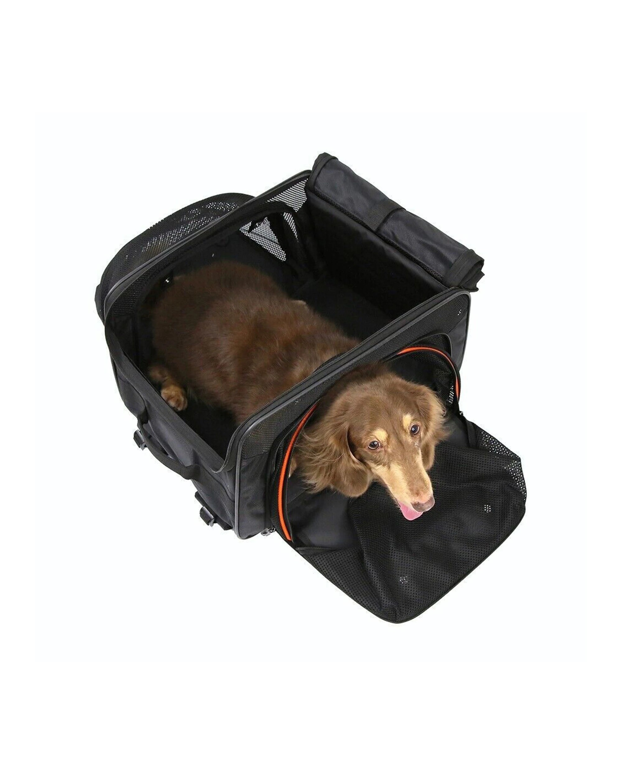 7 Ibiyaya JetPaw Expandable Pet Travel Carrier And Backpack Airline Approved - Multi, 7 of 7