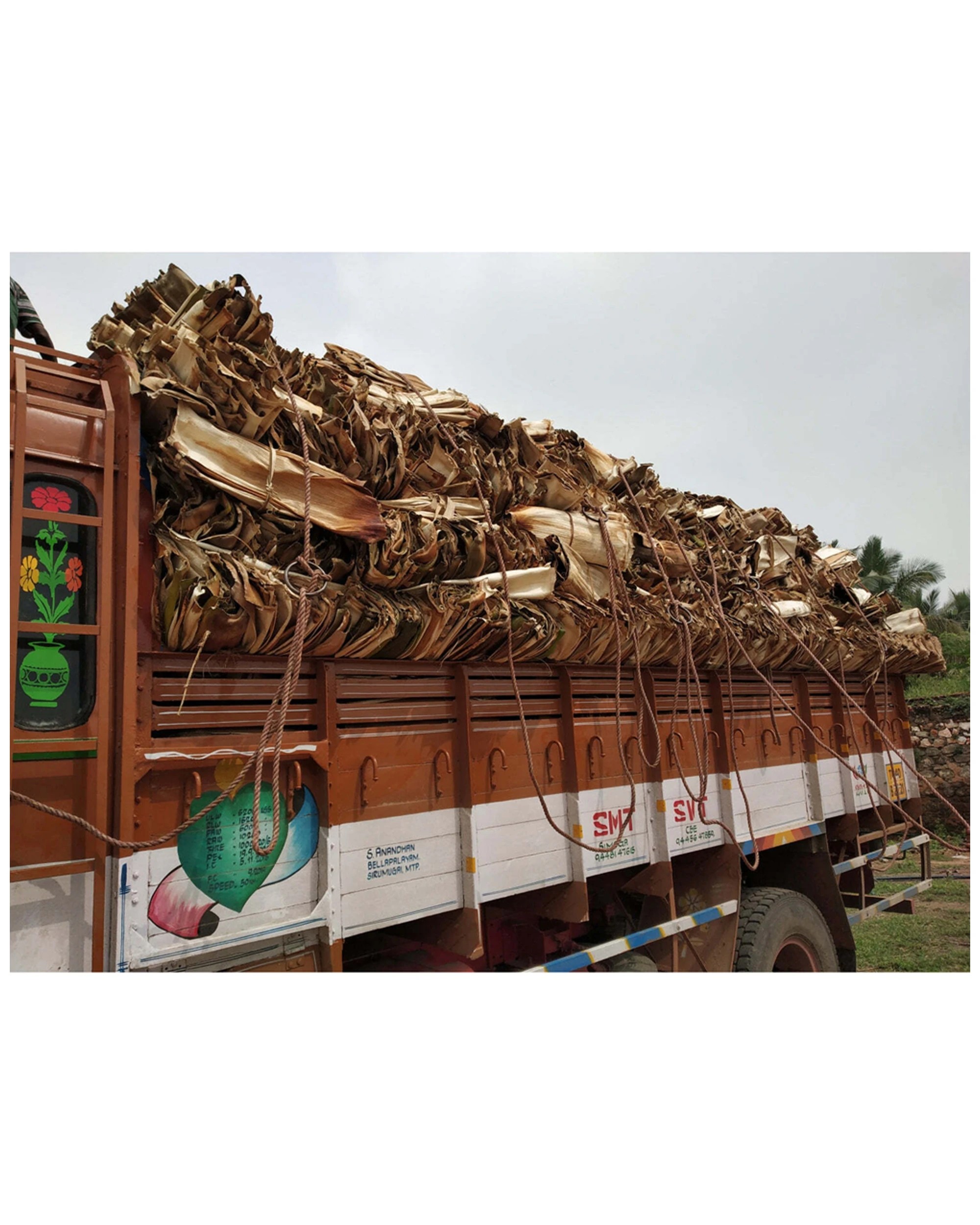 4 112pc Ecosoulife Disposable Natural Areca Nut Leaf Round Party Pack Utensils
 - Natural, 4 of 5