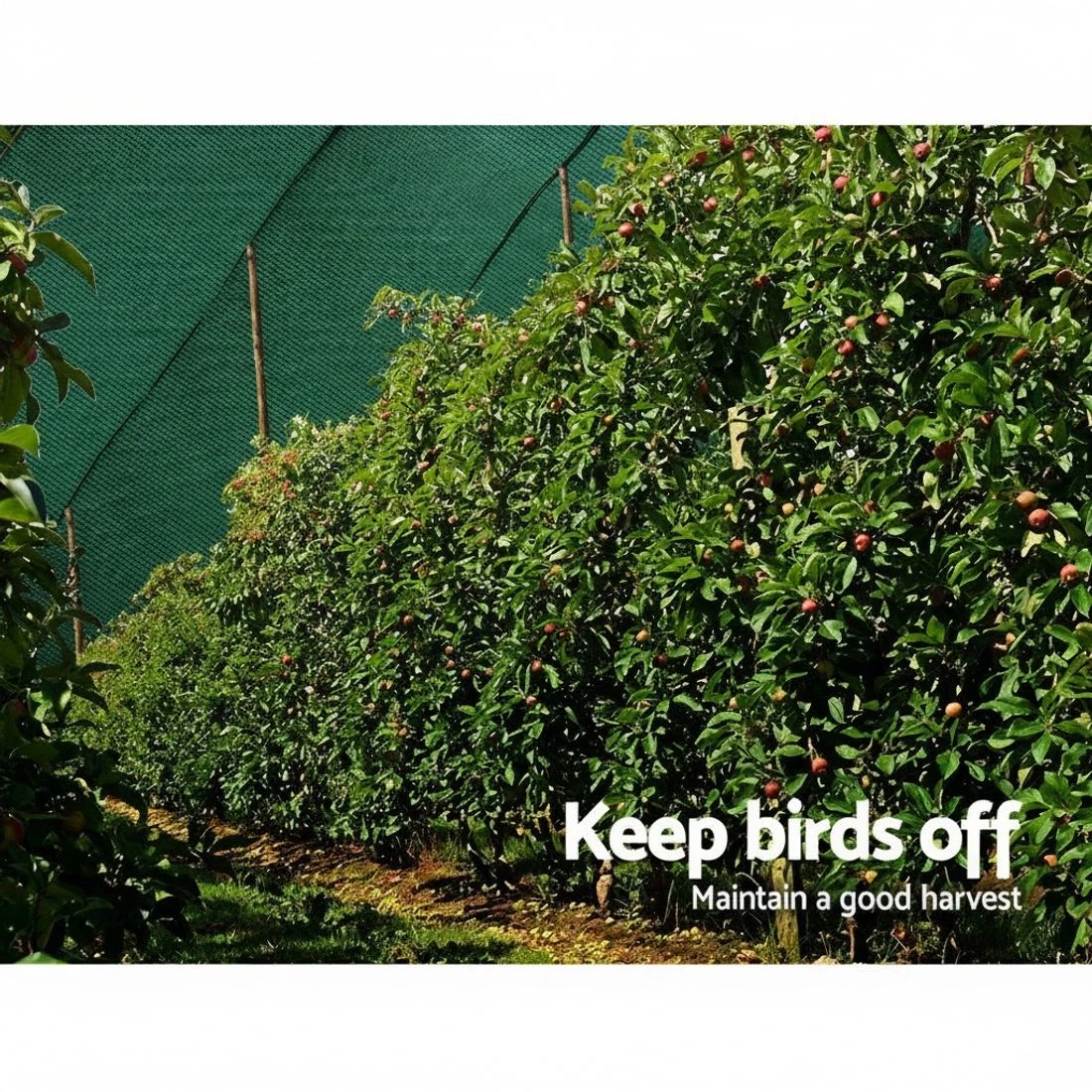 5 Instahut 30% Shade Cloth 1.83x30m Shadecloth Wide Heavy Duty Green - Green - Green, 5 of 5