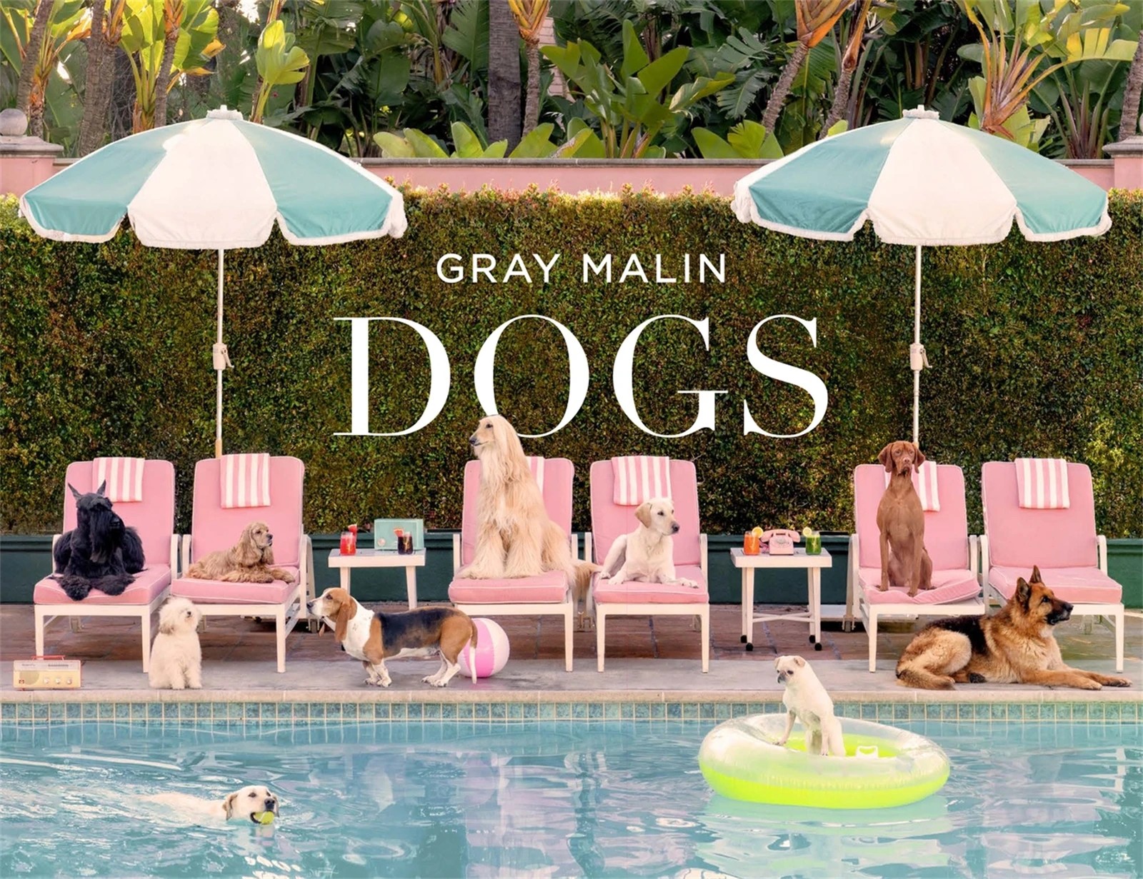 1 Gray Malin: Dogs by Gray Malin - Book