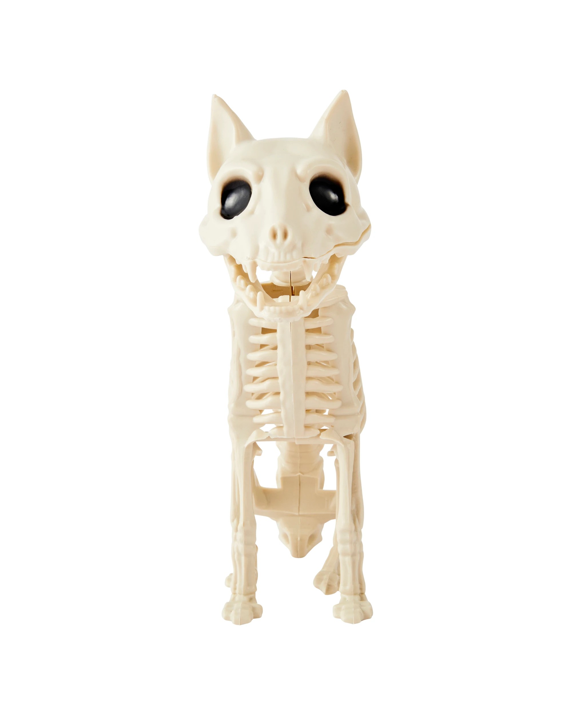 2 Animal Skeleton, 2 of 6