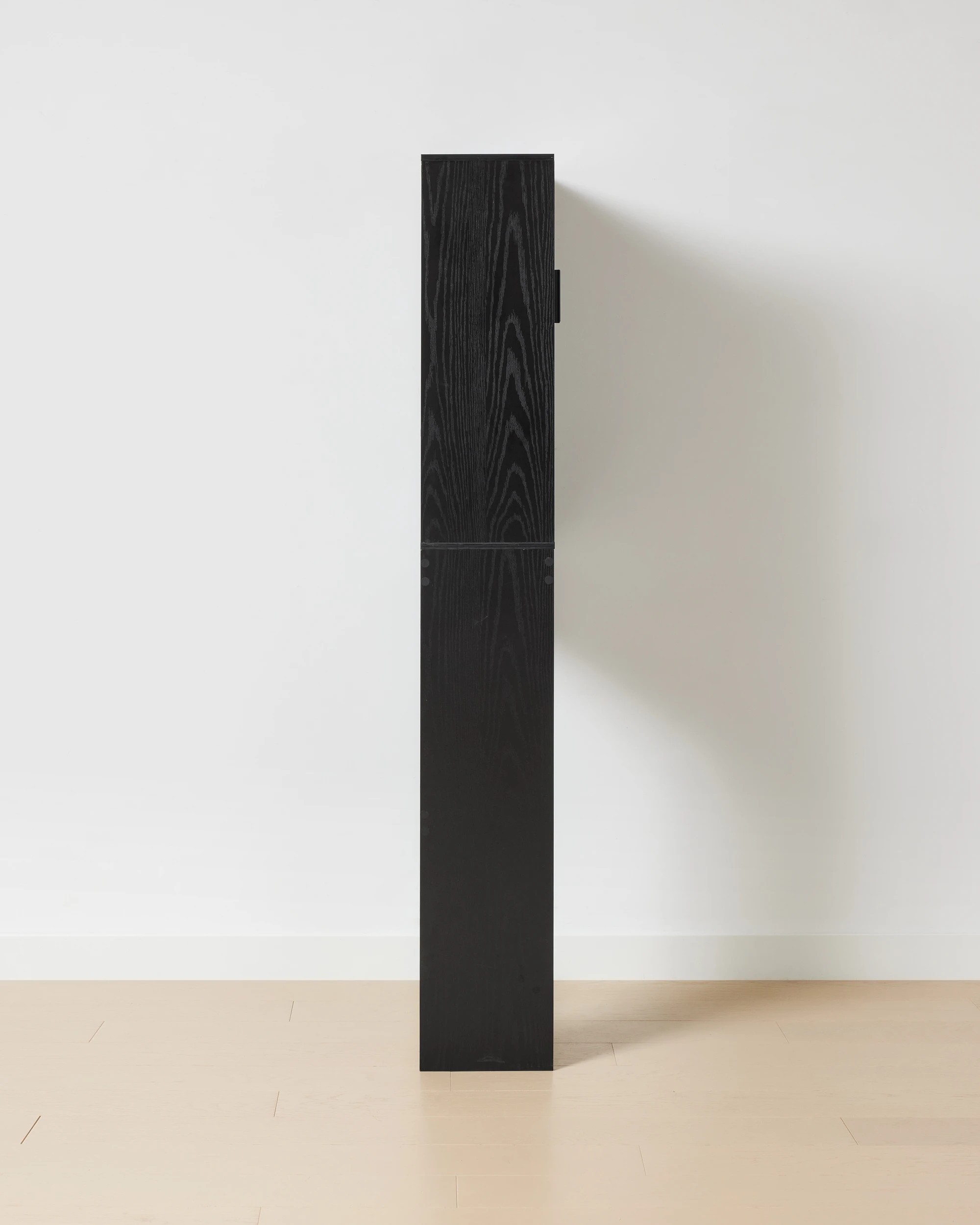 4 Nate 2 Door Cabinet, 4 of 8