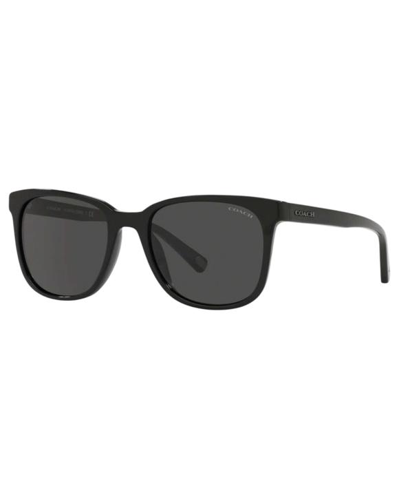 Coach Mens Polarised Sunglasses HC8313U Sunnies