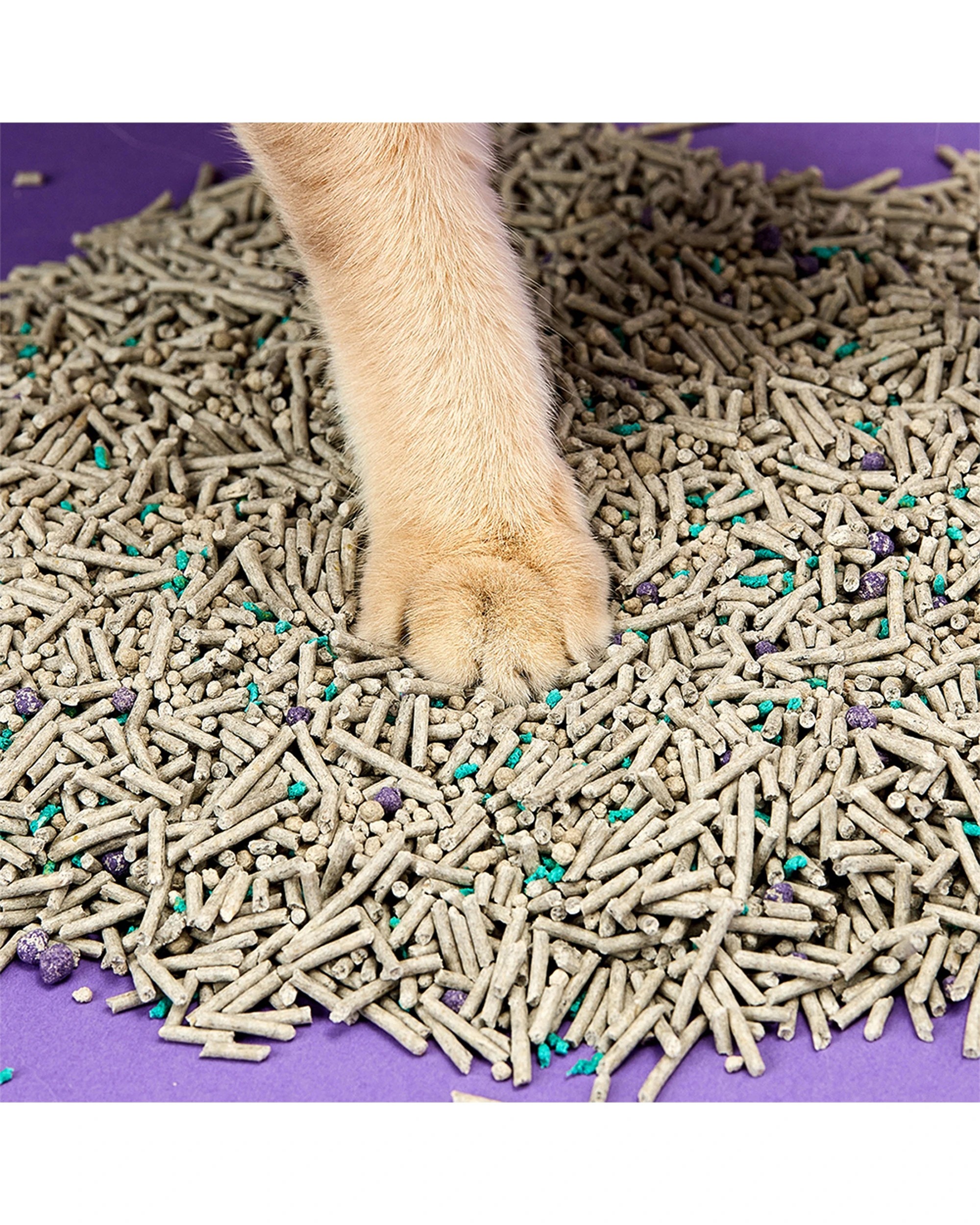 2 Petkit 5-In-1 Active Carbon 7L Mixed Tofu Cat Litter Odour Control Biodegradable - Plain, 2 of 6