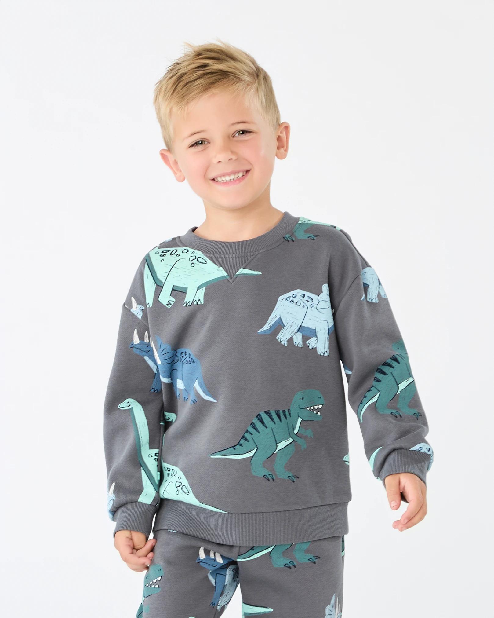 1 All Over Print Crew Neck Sweatshirt Gry Dino, 1 of 6