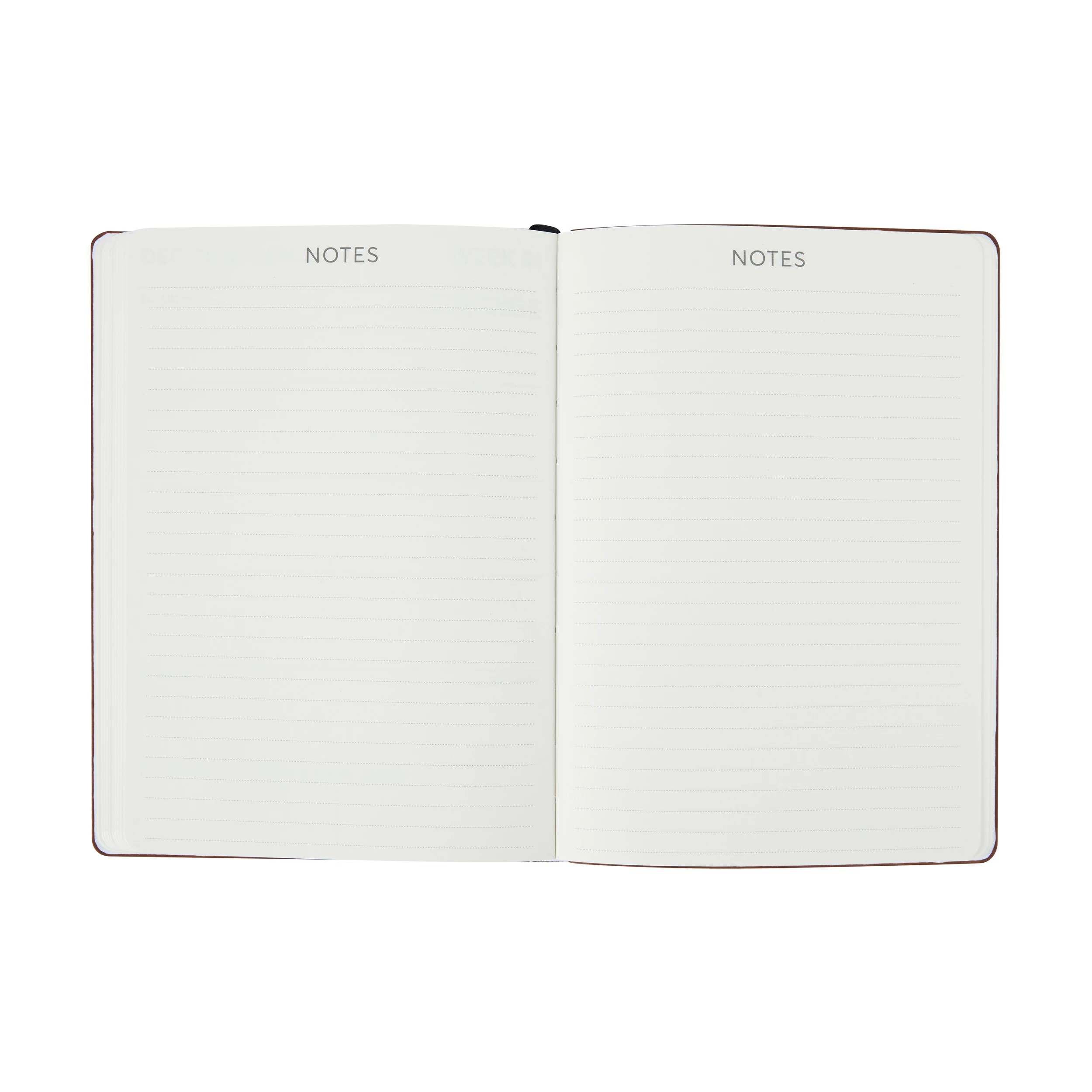 6 2026 Weekly Diary - Tan, 6 of 8