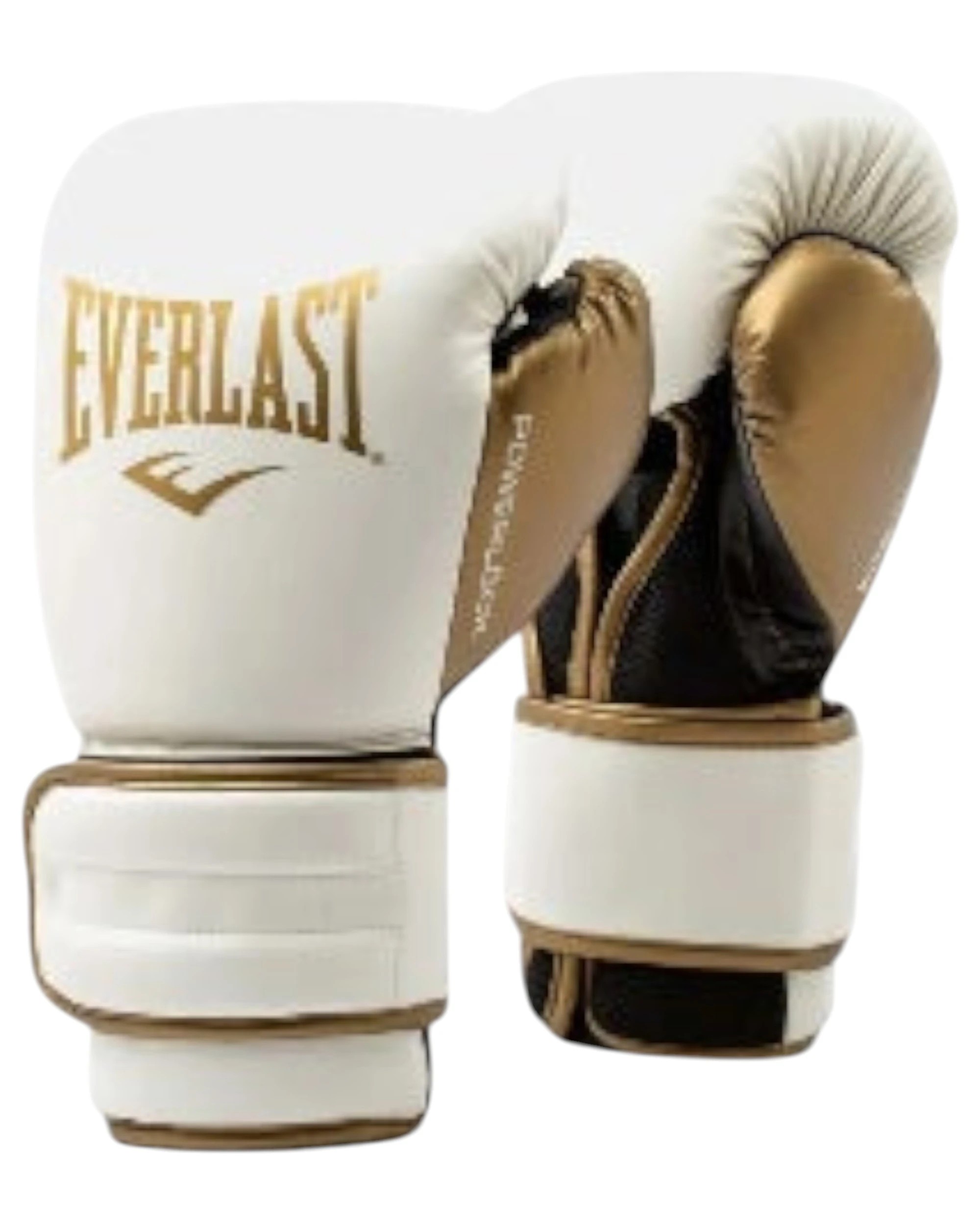 1 Everlast Powerlock2 Training Boxing Gloves 16oz - Multi, 1 of 1