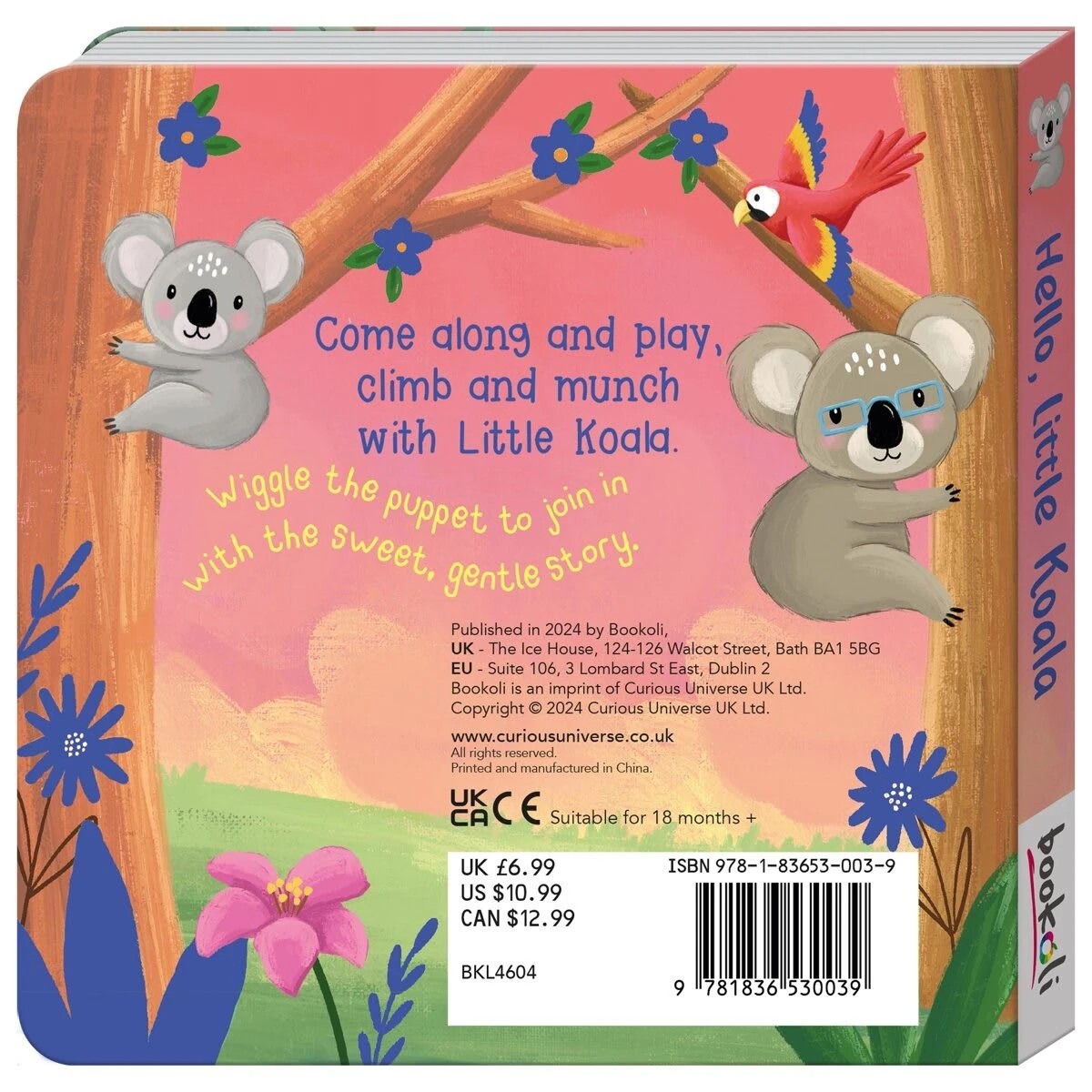 2 Hello, Little Koala - Book, 2 of 5