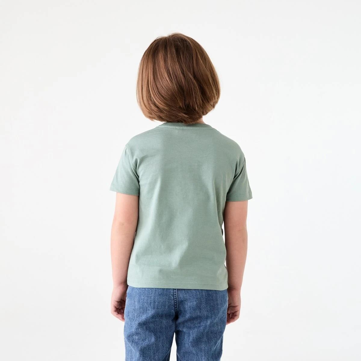 2 Chest Print T-shirt DINOTOPIA CHINOIS GREEN, 2 of 6