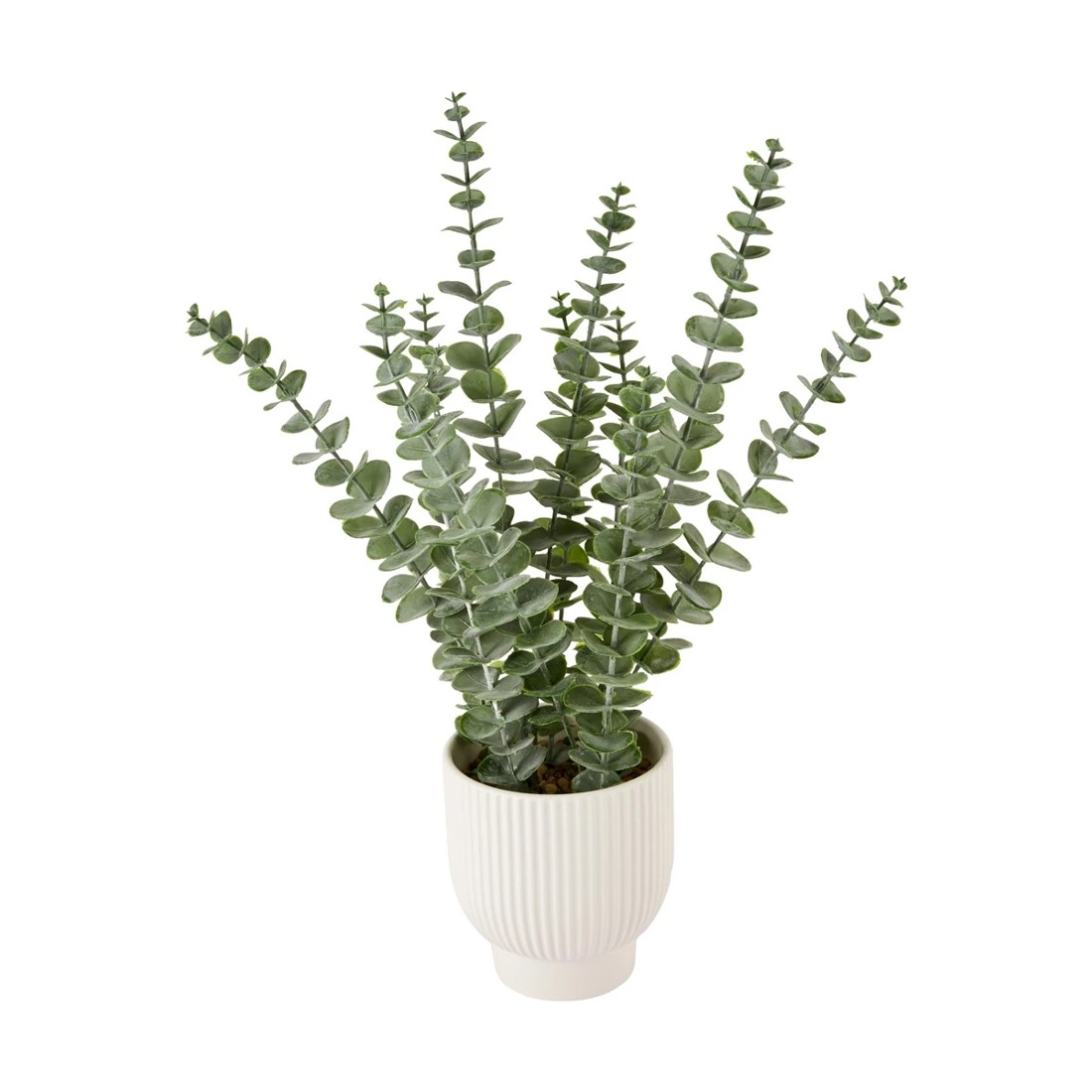 1 Artificial Eucalyptus in Pot, 1 of 3