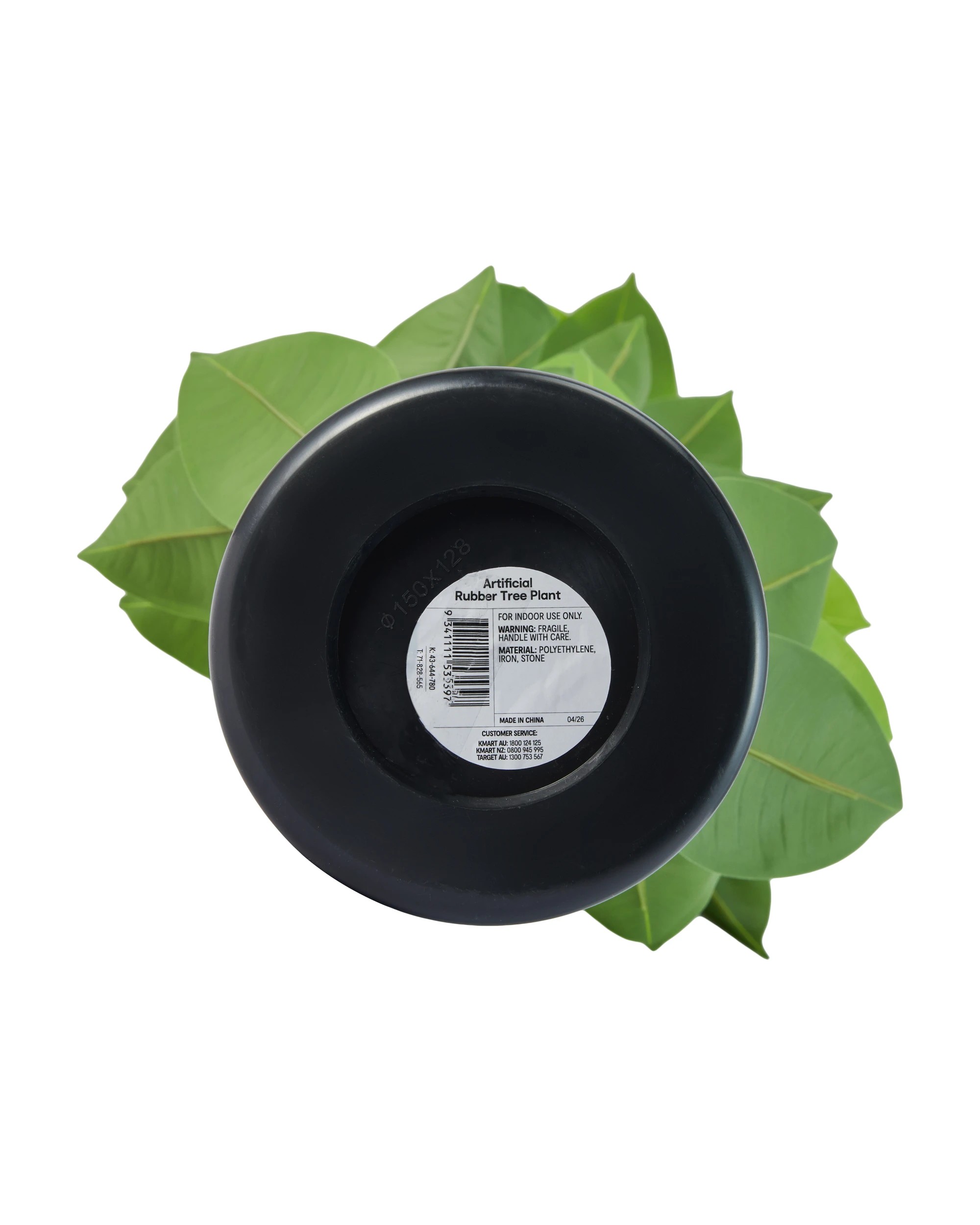 3 Artificial Rubber Tree Plant, 3 of 3