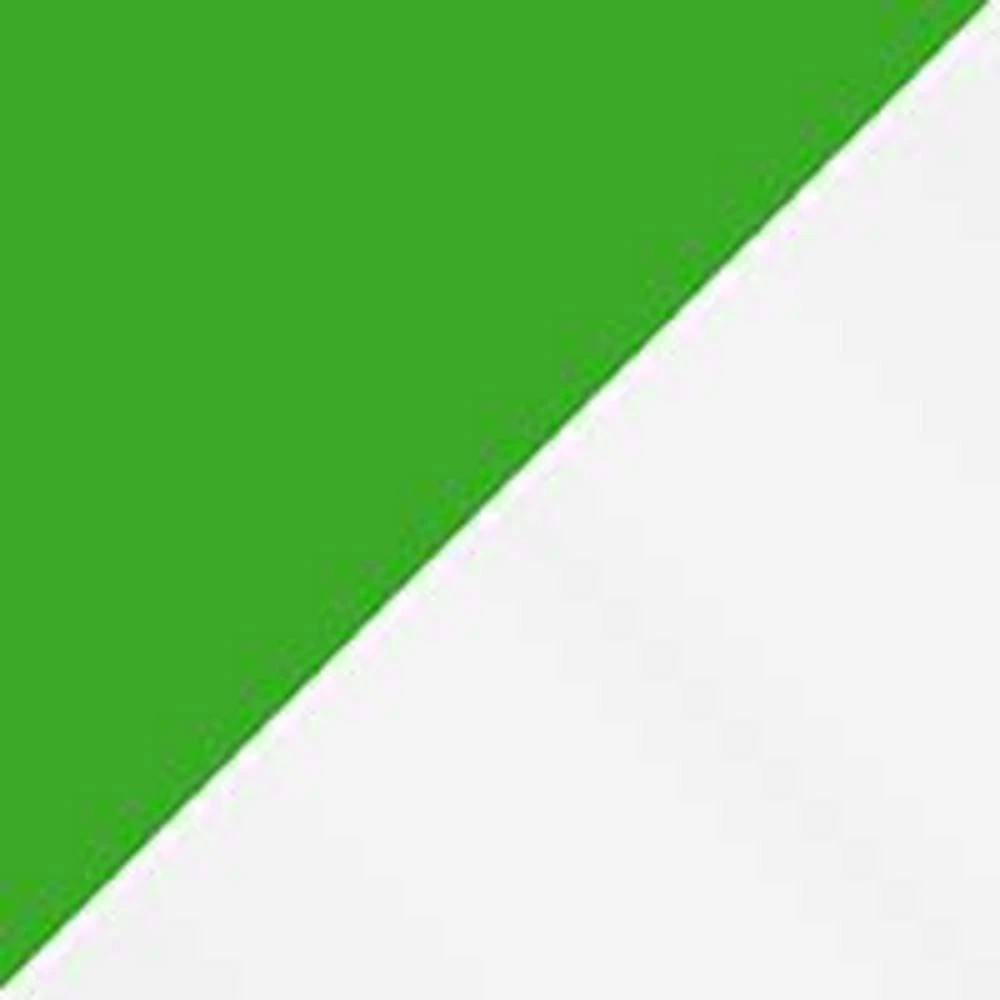 2 PILOT Pintor Paint Marker 1.4mm Light Green, 2 of 3