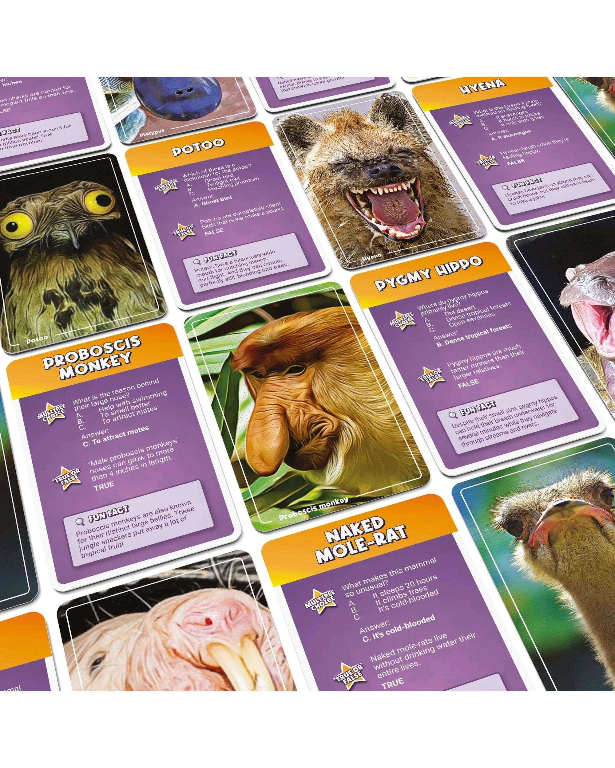 3 Bubblegum Stuff Ugly Animals Card Game, 3 of 5