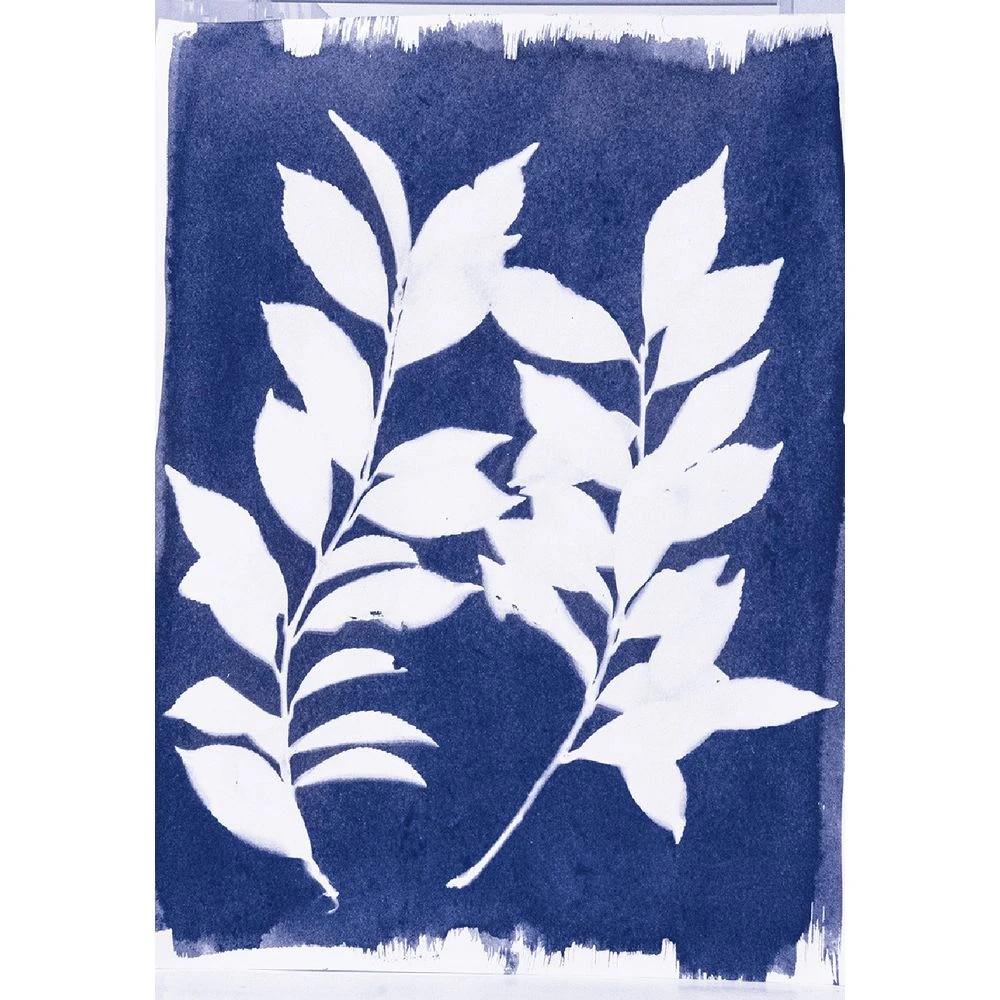 3 Cyanotype Sun Printing Fabric Sheets Class Pack, 3 of 3