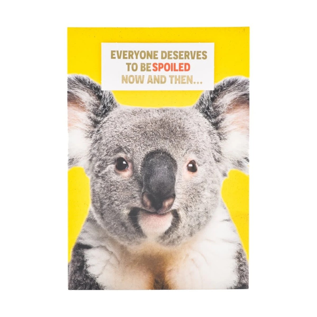 3 Hallmark Birthday Card - Cheeky Koala, 3 of 3