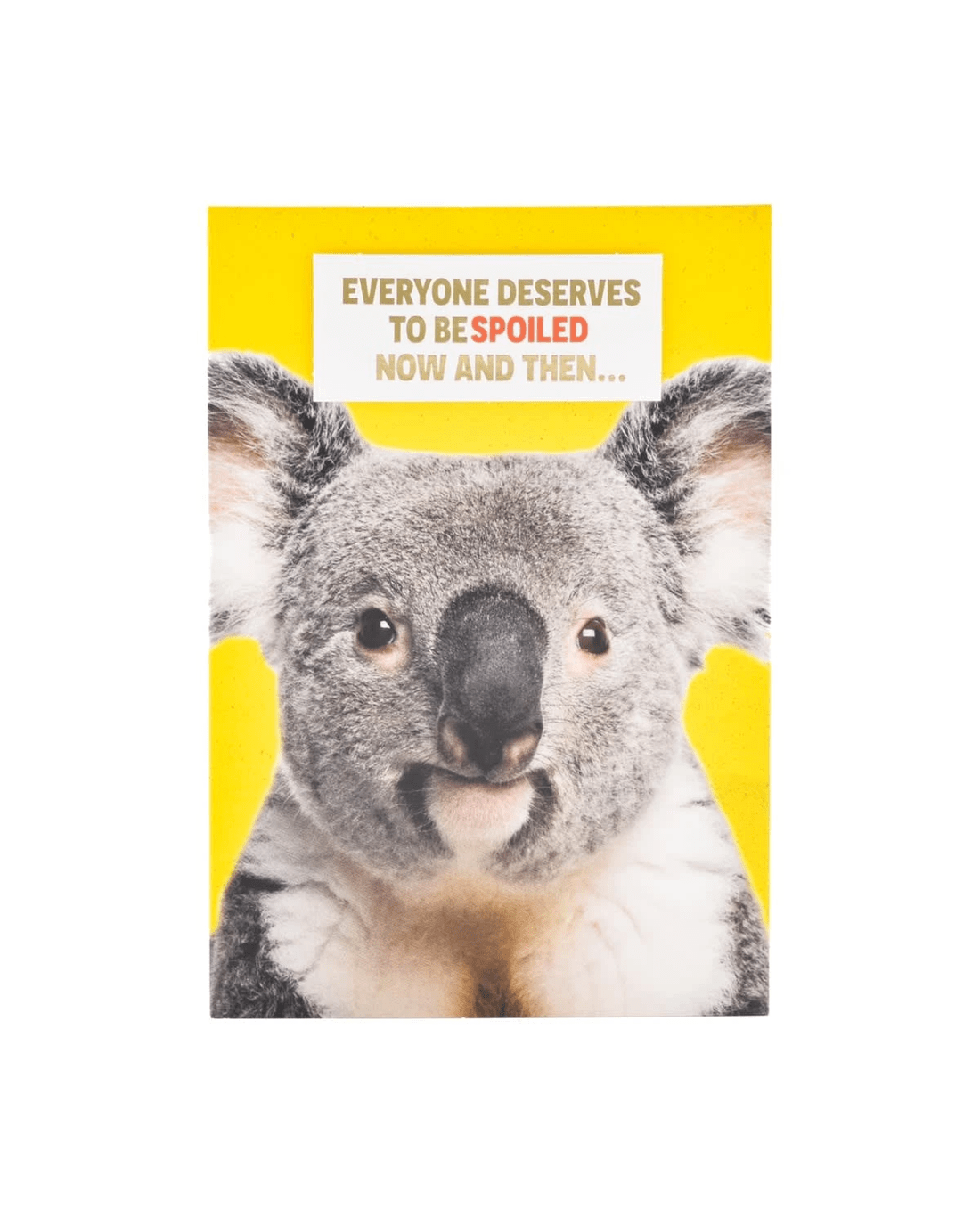 3 Hallmark Birthday Card - Cheeky Koala, 3 of 3