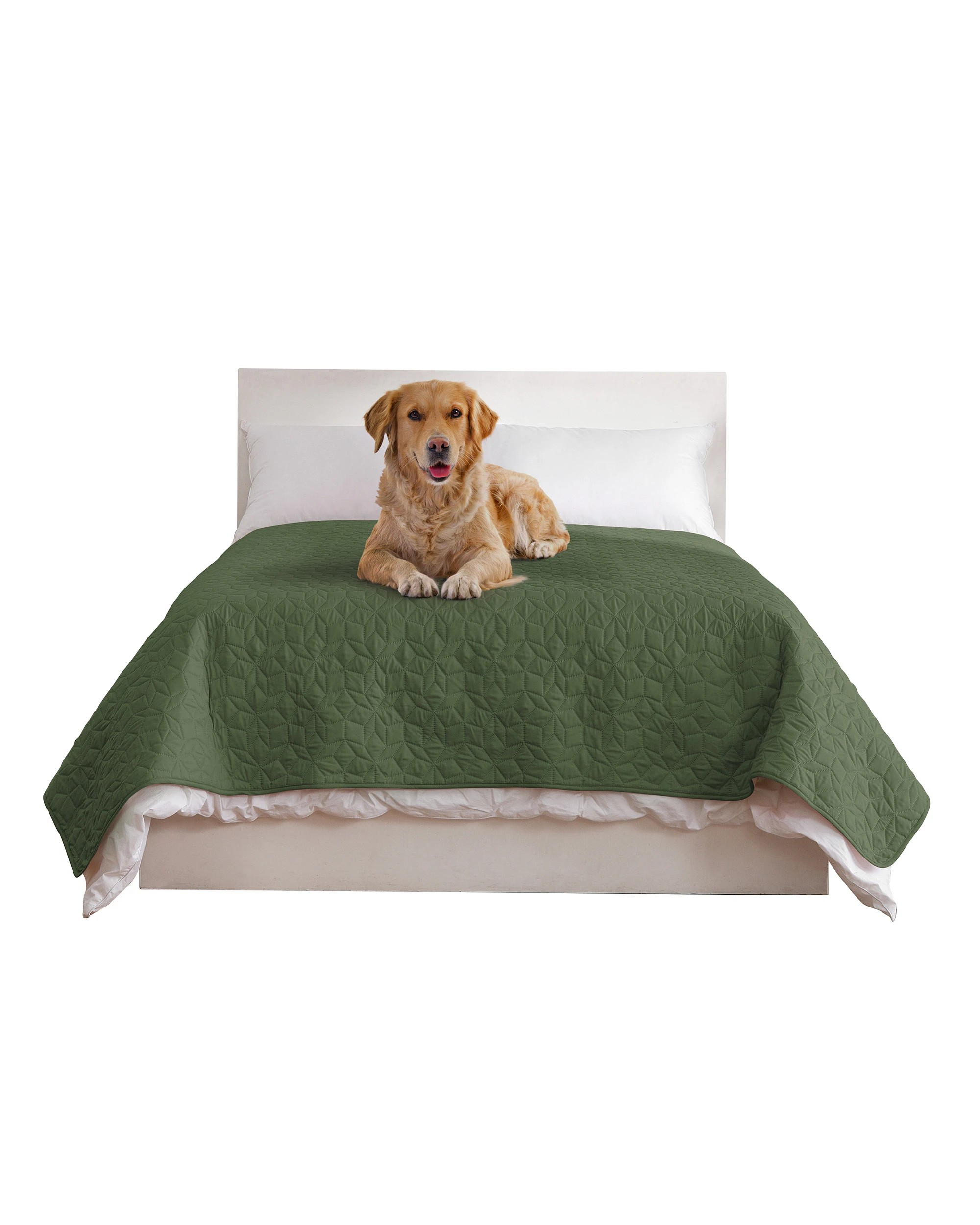 3 Charlie's Sofur Waterproof Dog Bed Cover Protector Double/Queen 208x208cm - Double/Queen - Olive, 3 of 10