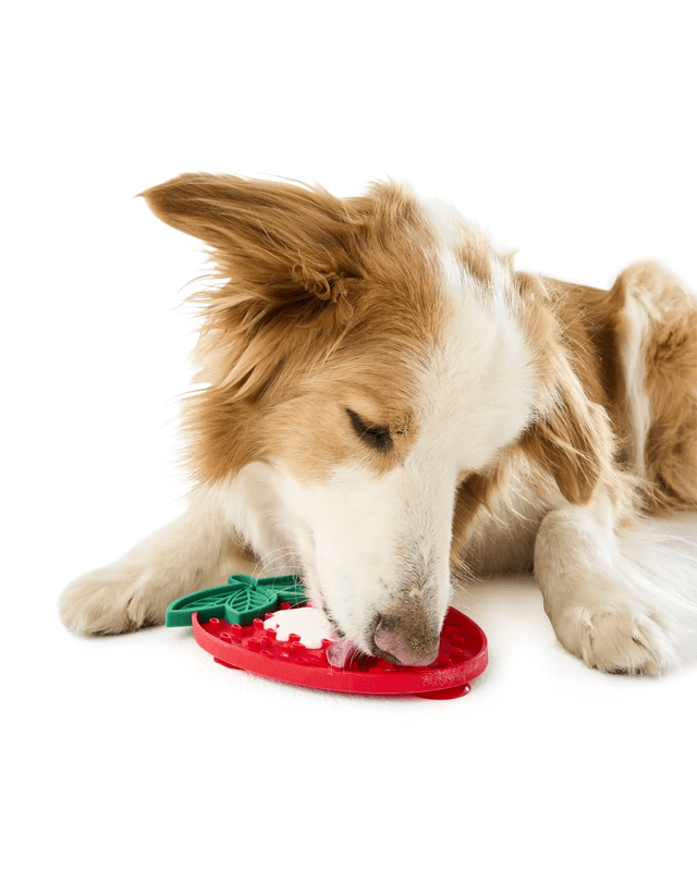 Novelty Pet Lick Mat - Asso