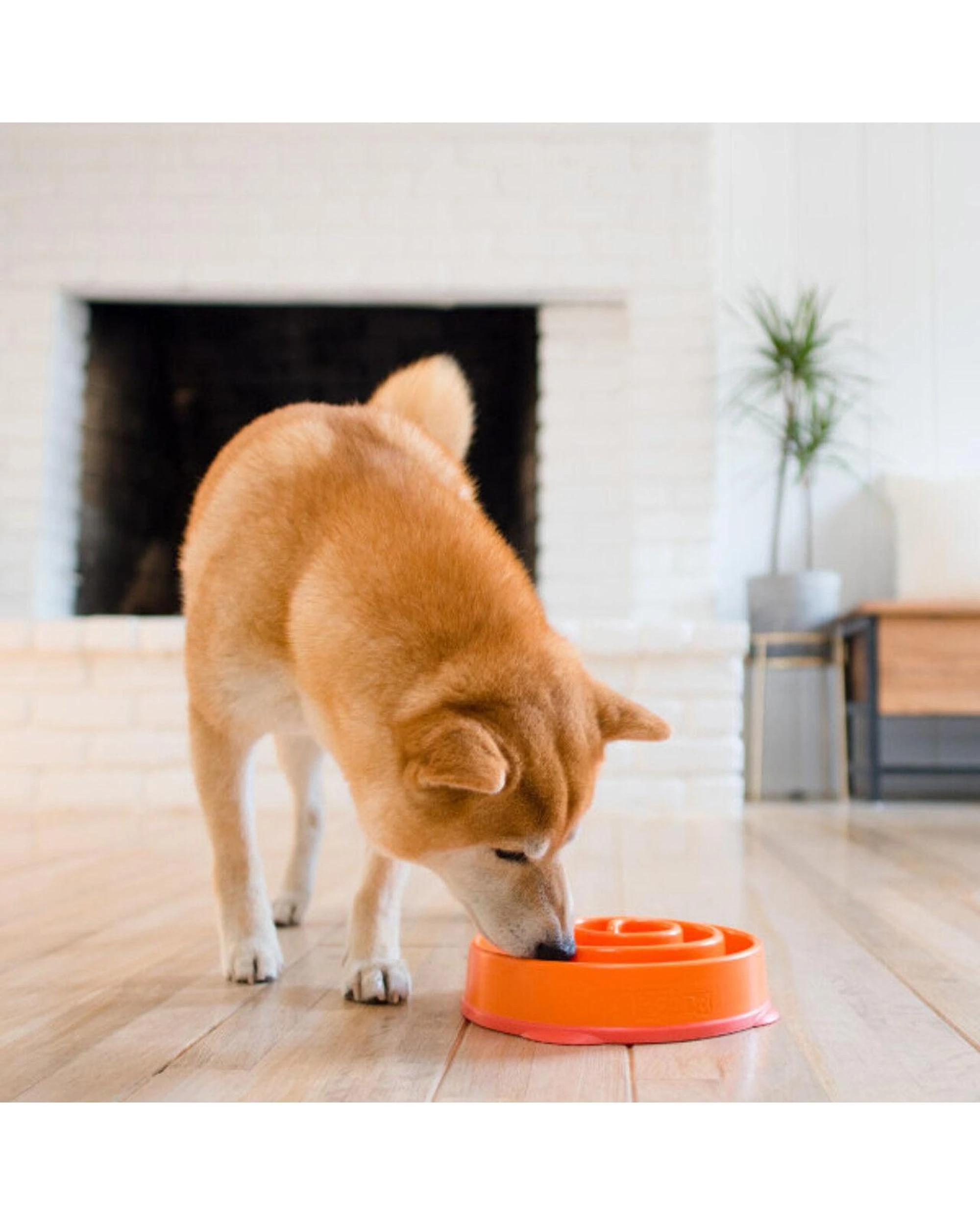 6 Outward Hound Fun Feeder Interactive Slow Bowl Coral Maze for Dogs Orange Large, 6 of 6