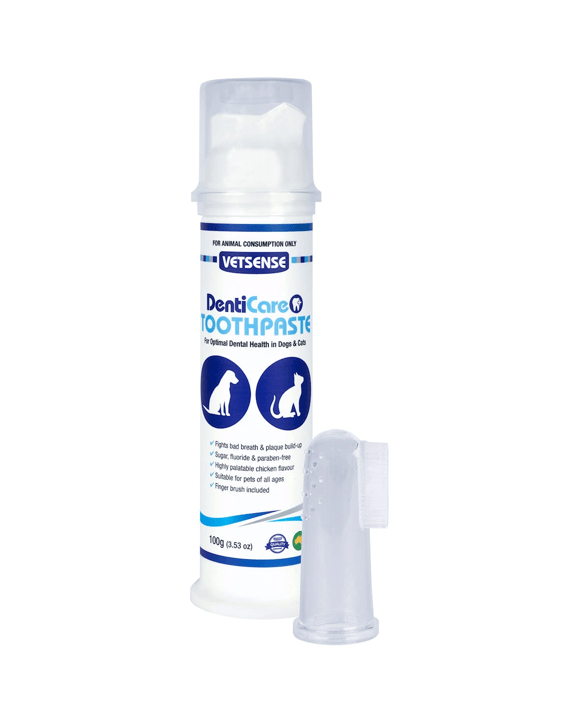 Vetsense Denticare Toothpaste Kit For Dogs & Cats 100g