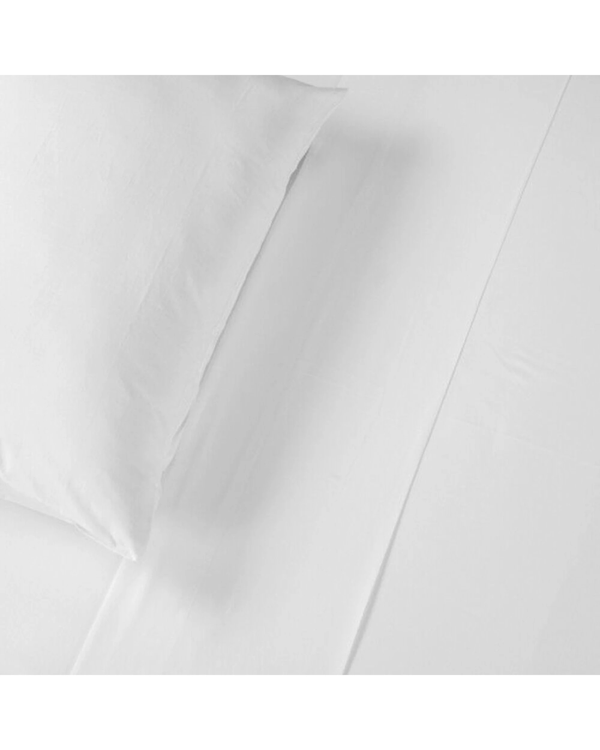2 Jason Commercial Cotton Flat Sheet With Cuff 200x300cm - King Single Bed - White, 2 of 2