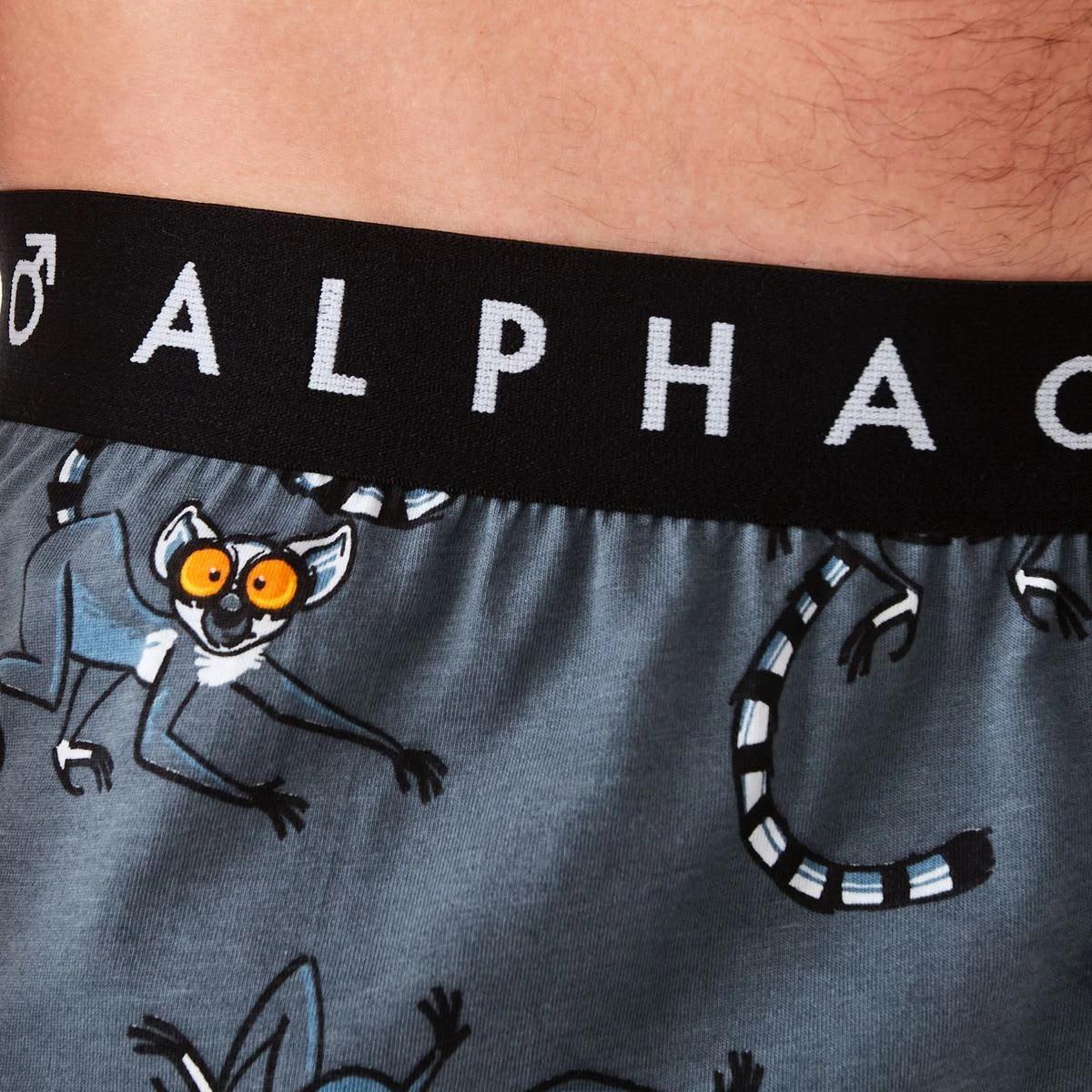 4 Printed Jersey Boxers Craz Lem, 4 of 5