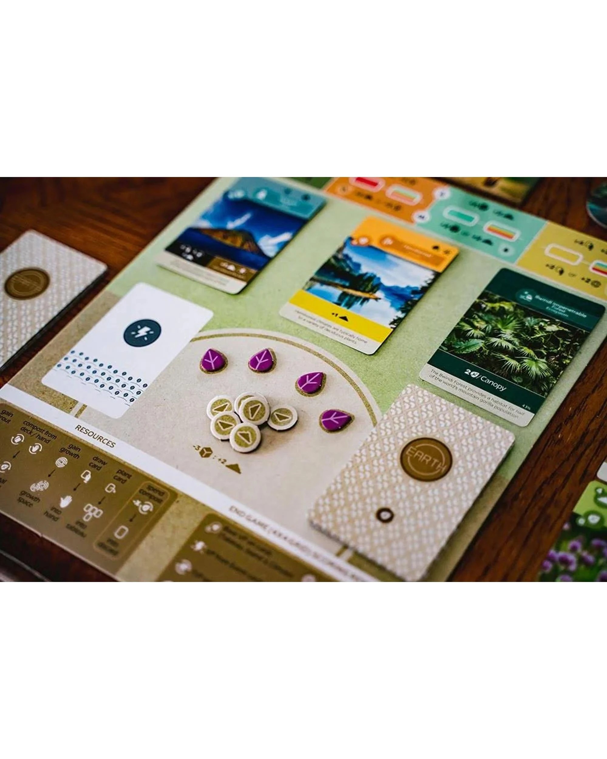 2 Earth Board Game, 2 of 4