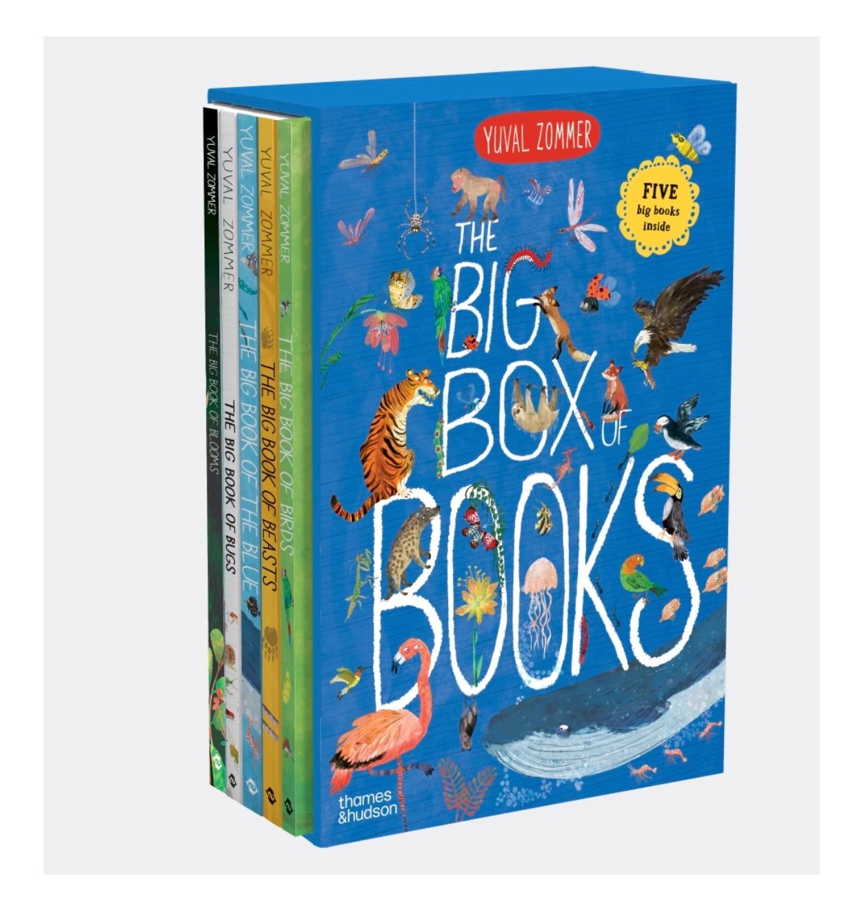 1 Thames & Hudson: The Big Box of Books by Yuval Zommer - Book, 1 of 1