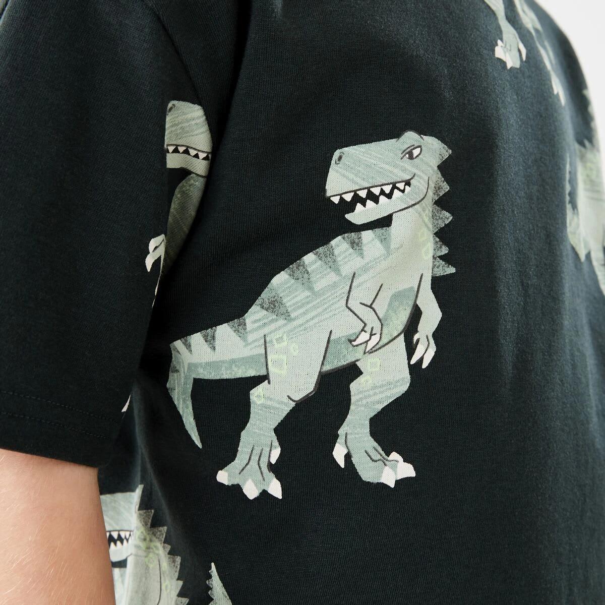 4 All Over Print T-shirt DINO DUDES WOODLAND GREY, 4 of 6