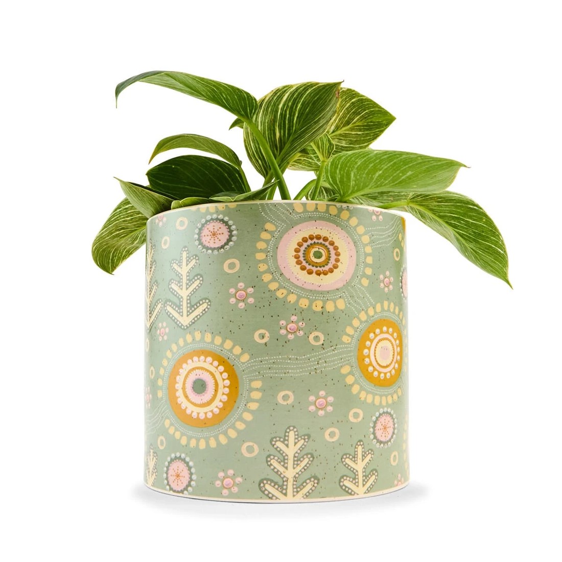 1 Dyurali Budyari Pot, 1 of 6