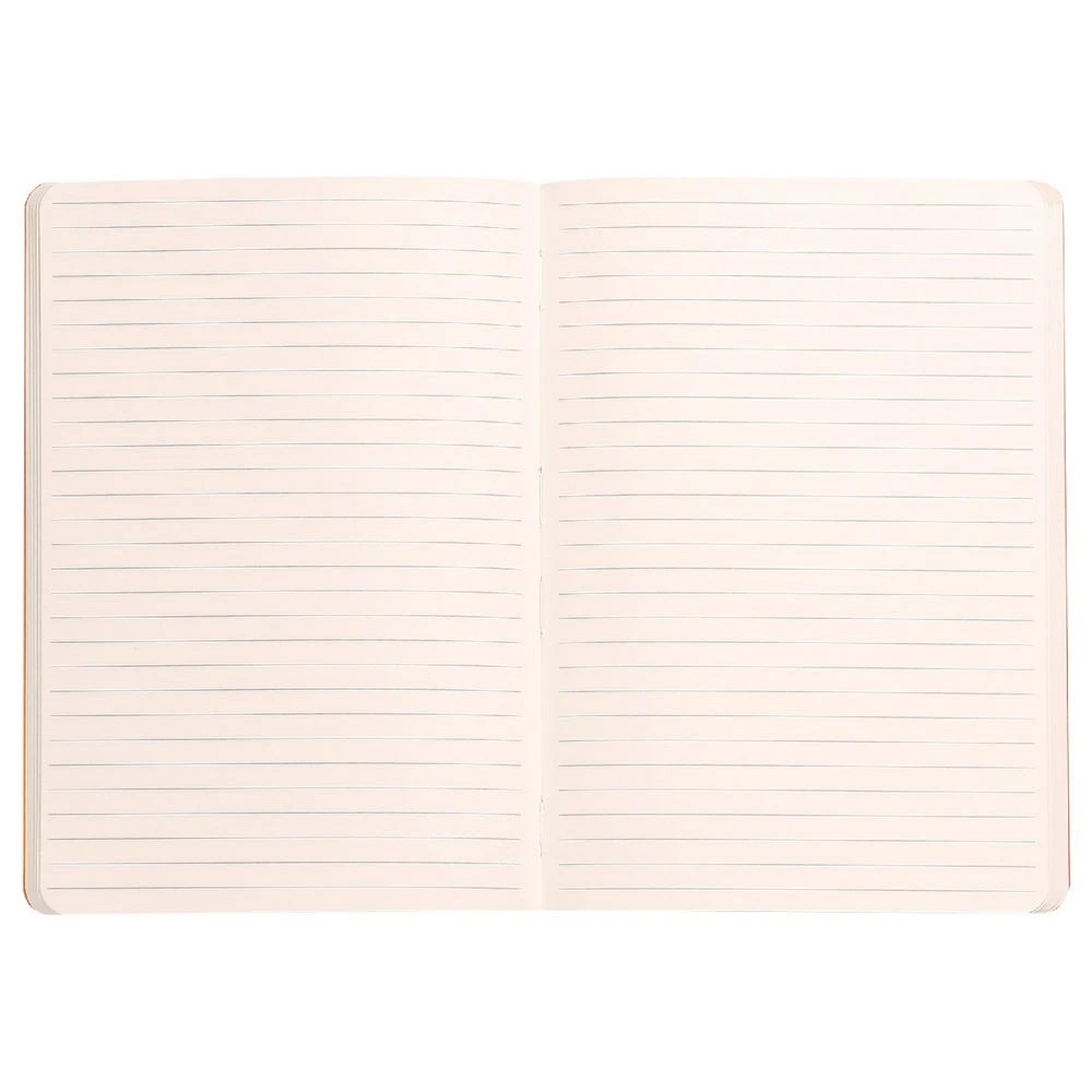 2 Rhodia A5 Rhodiarama Lined Notebook Brown 160 Pages, 2 of 3