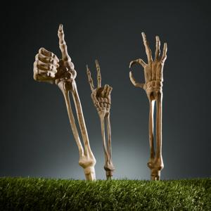 3 Piece Skeleton Hand St