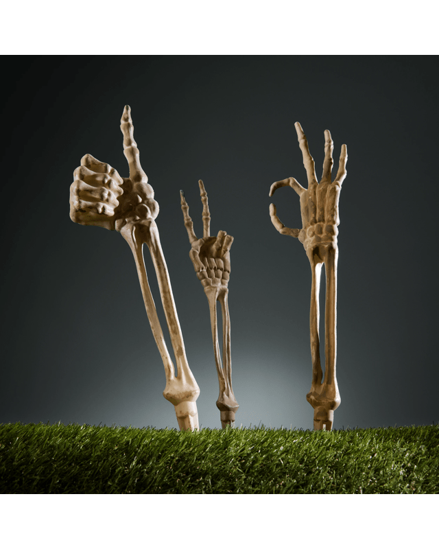 3 Piece Skeleton Hand St