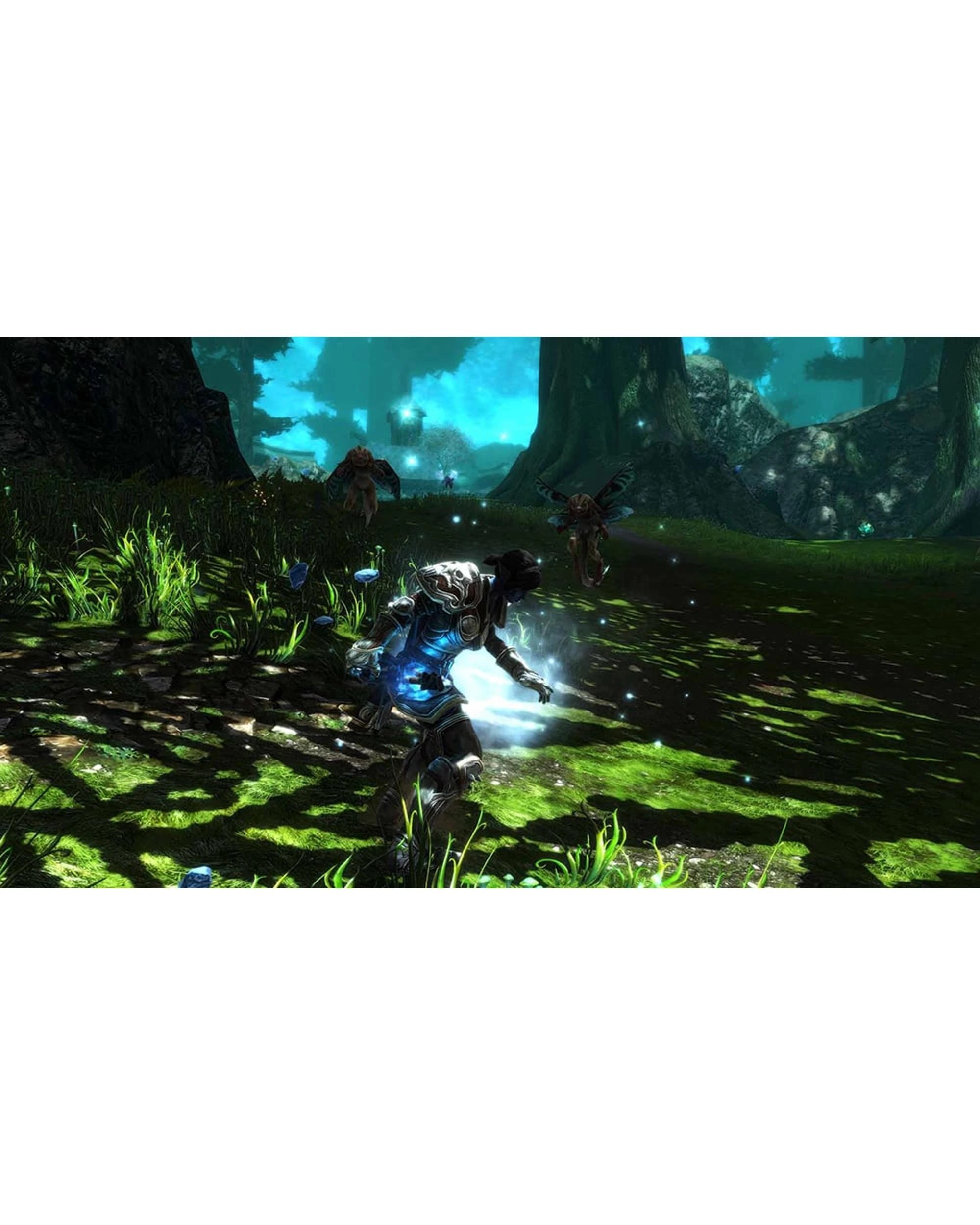 5 Kingdoms of Amalur: Re-Reckoning - PS4, 5 of 5