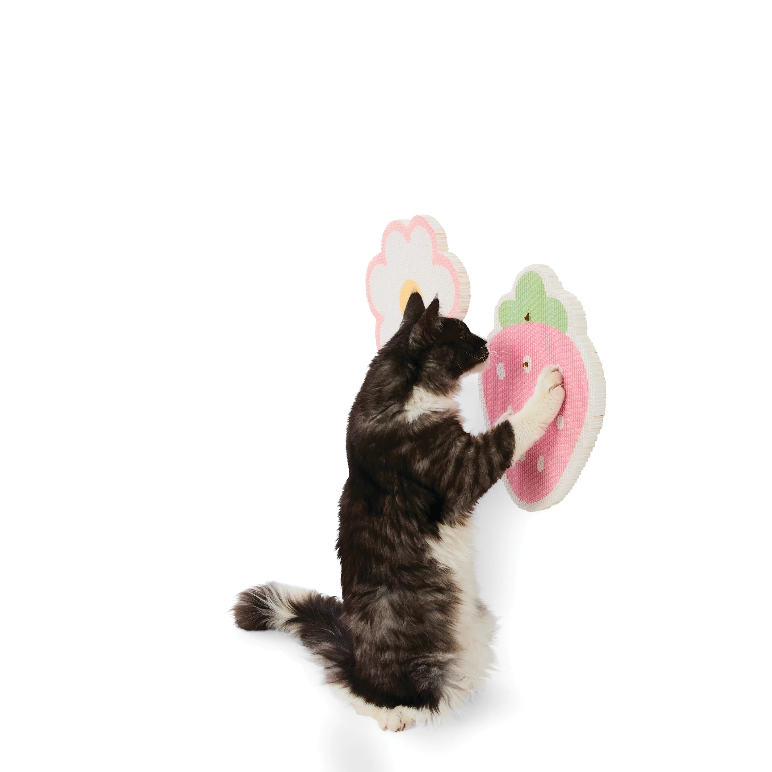 2 2 Pack Stick-On Cardboard Scratchers, 2 of 10