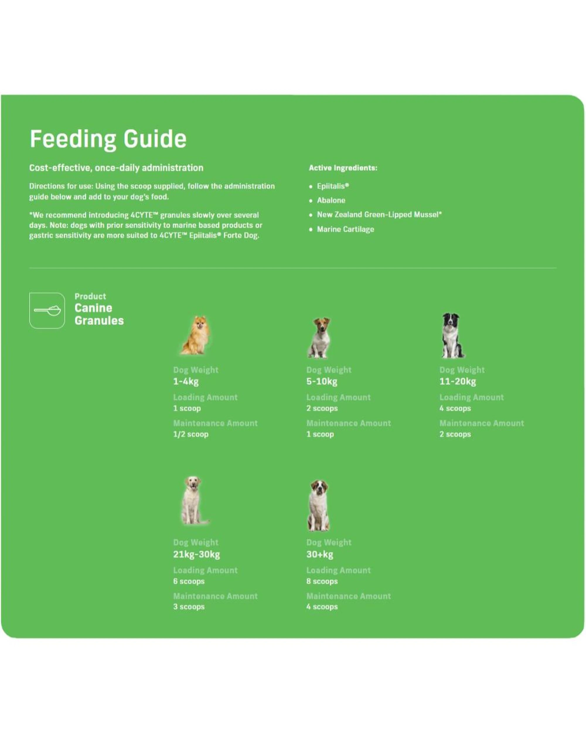 3 4cyte Granules For Dogs - 100g, 3 of 3