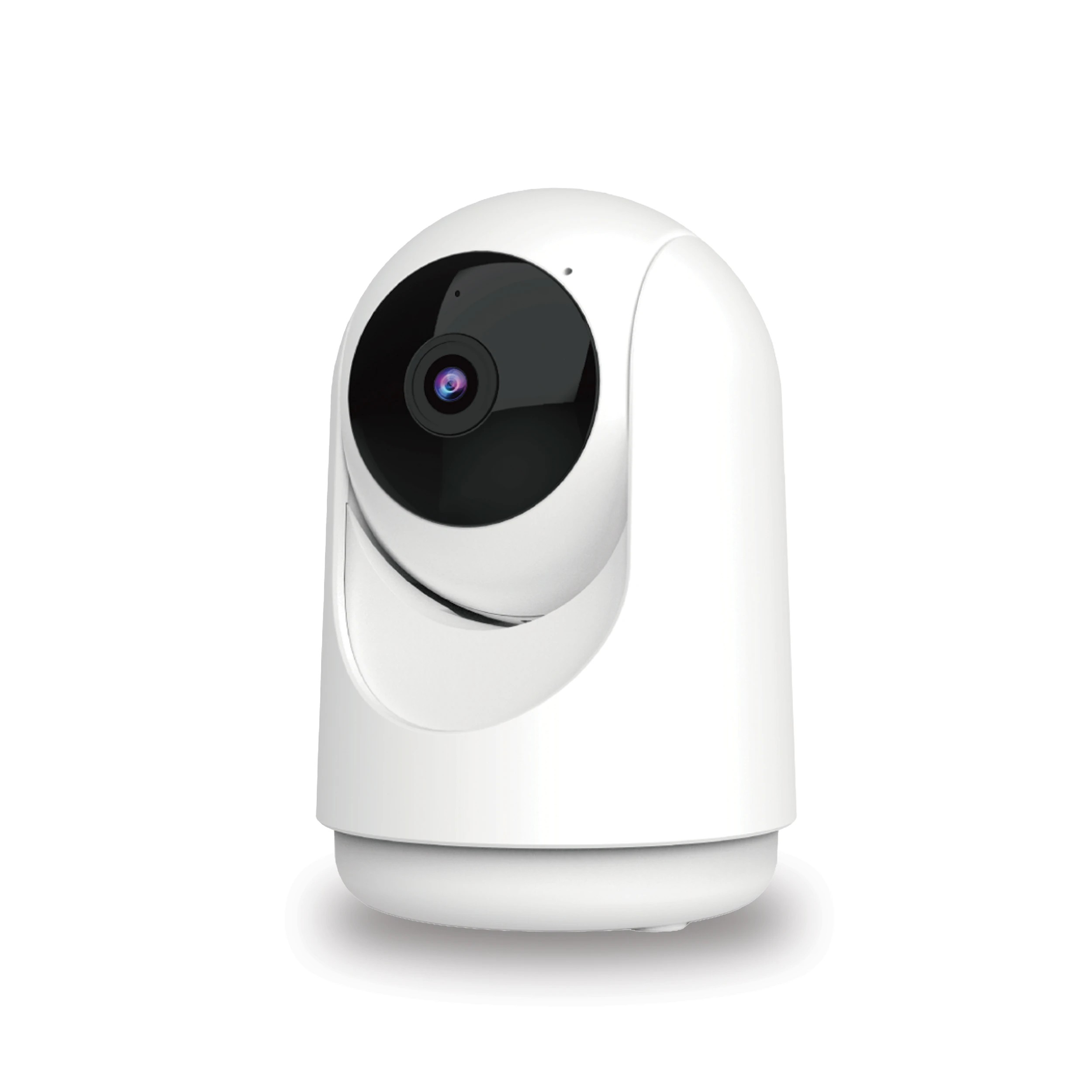 1 Indoor Pan and Tilt Camera, 1 of 6