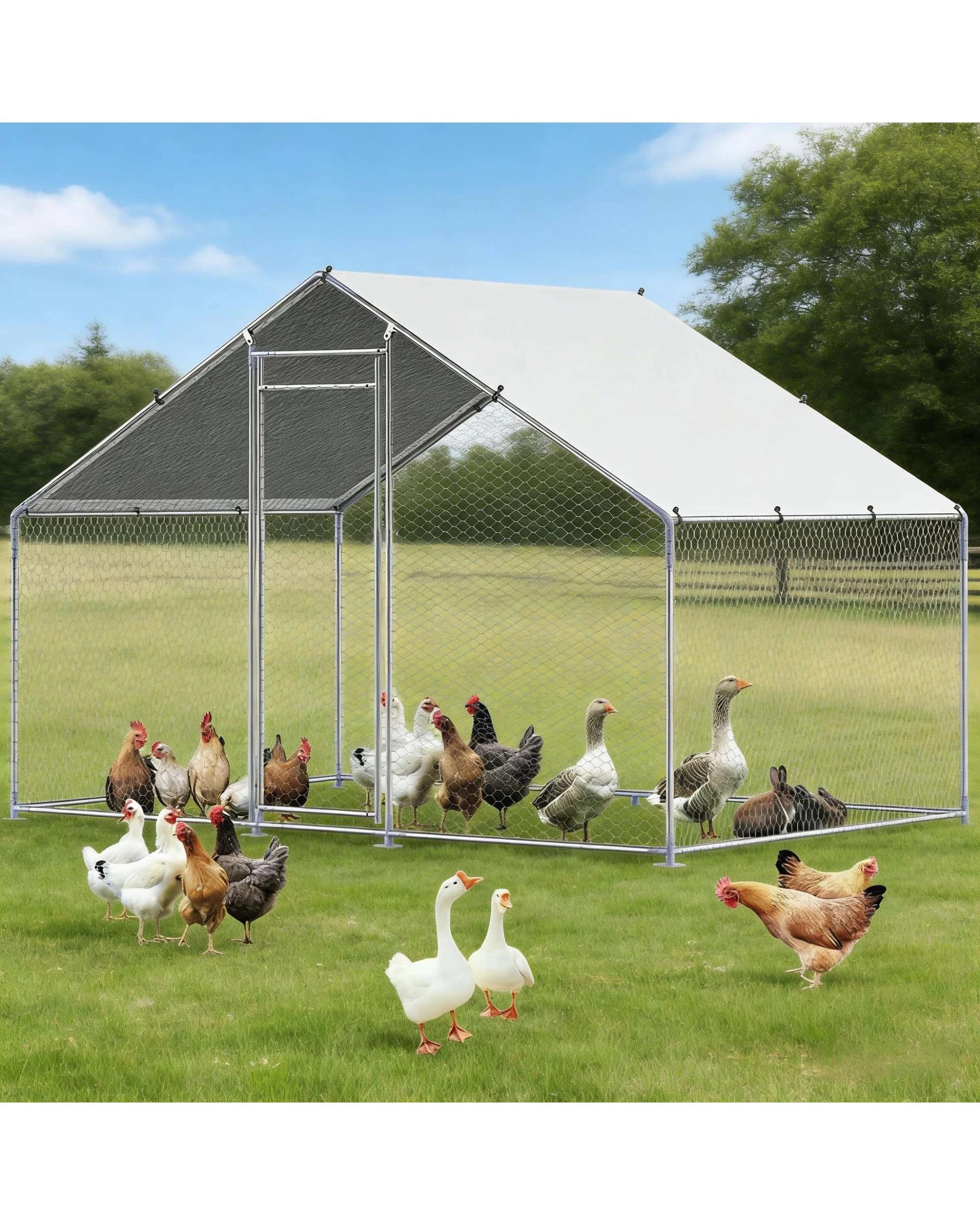 1 Advwin Walk-in Large Chicken Coop Poultry Cage, 1 of 8