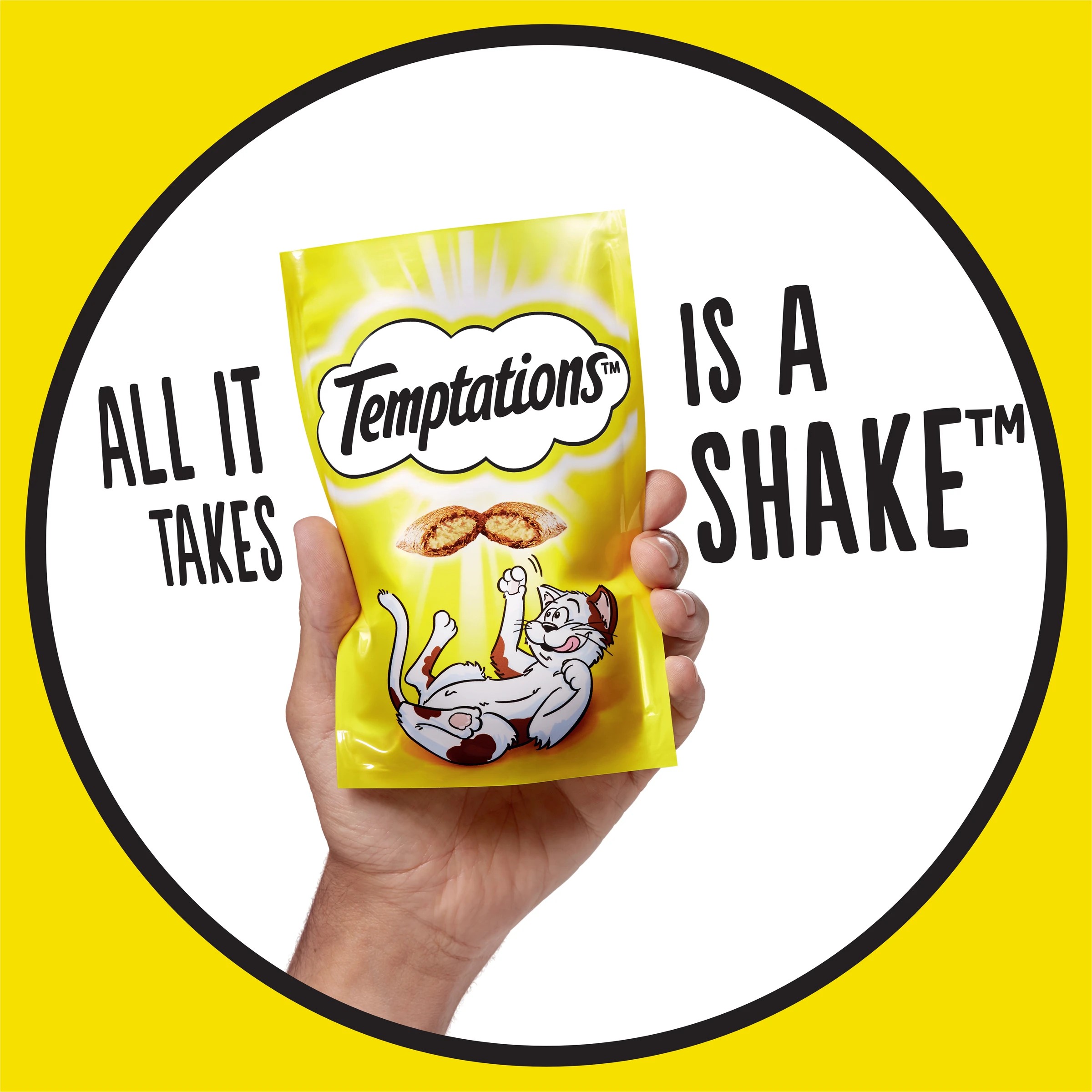 5 Temptations Chicken, 5 of 10