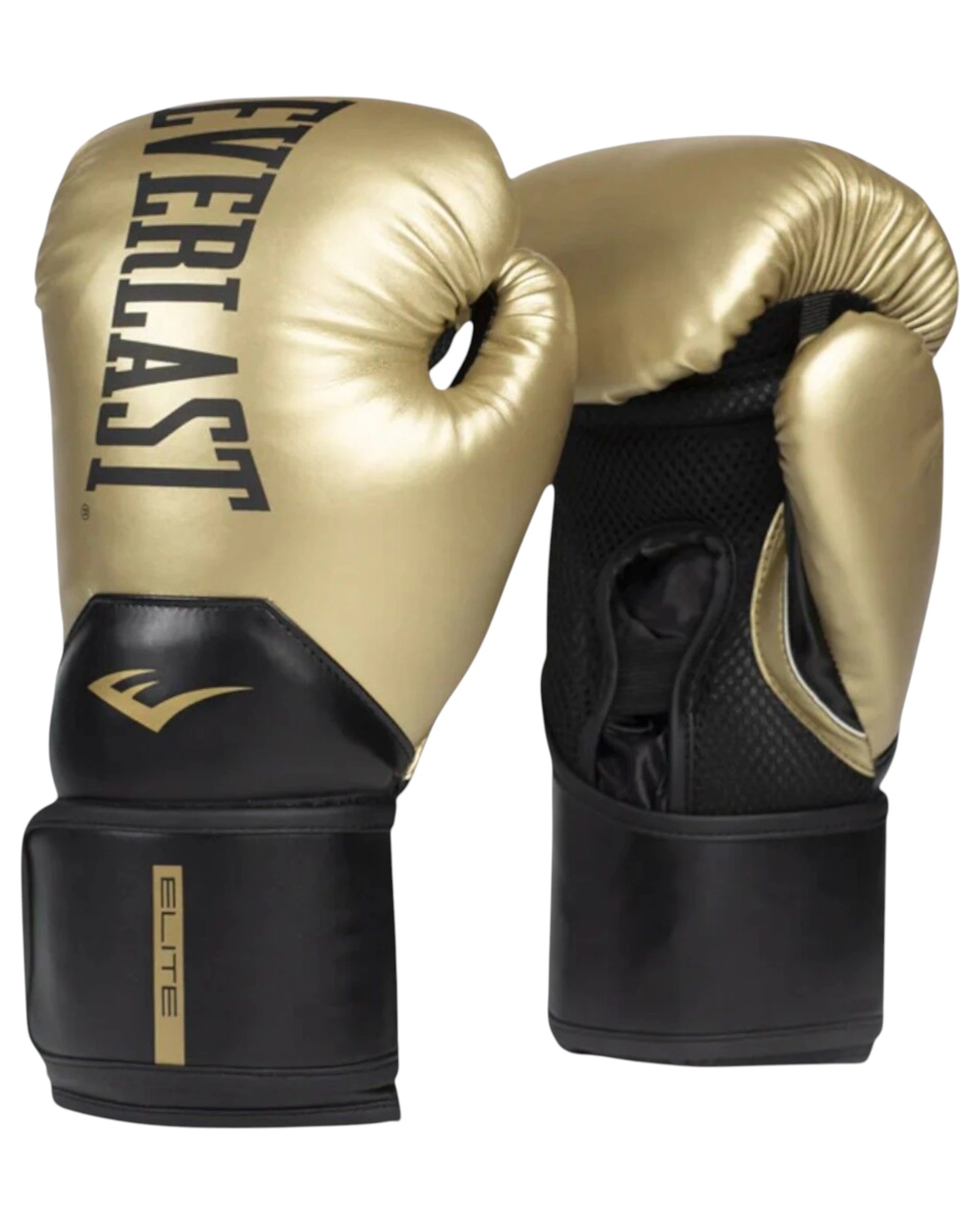 1 Everlast Elite 2 Training Boxing Gloves 12oz - Multi, 1 of 4