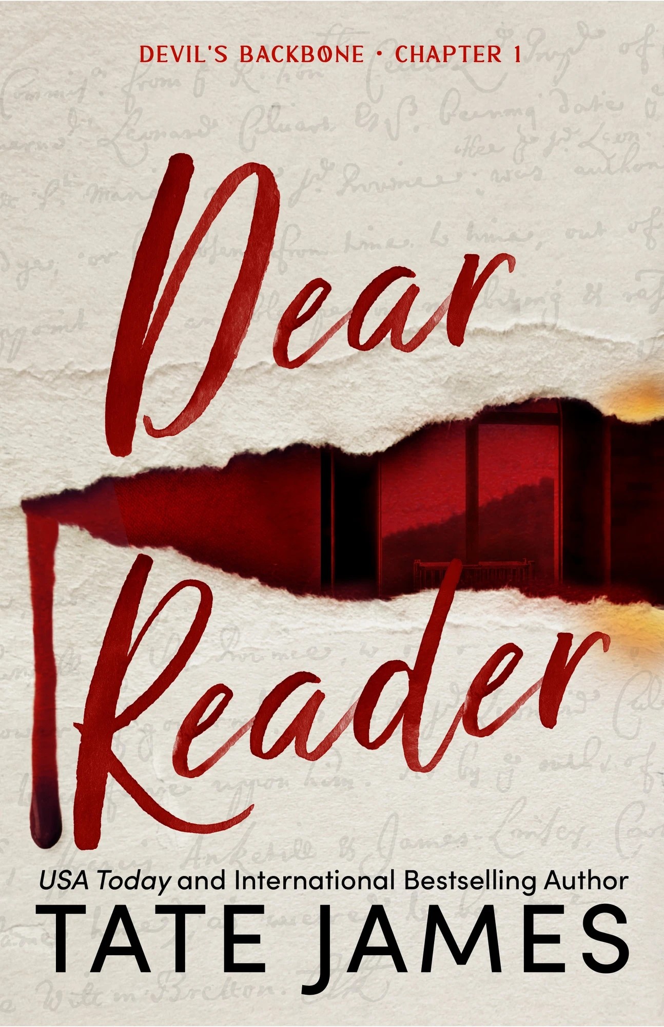 1 Devil's Backbone: Dear Reader by Tate James - Book 1