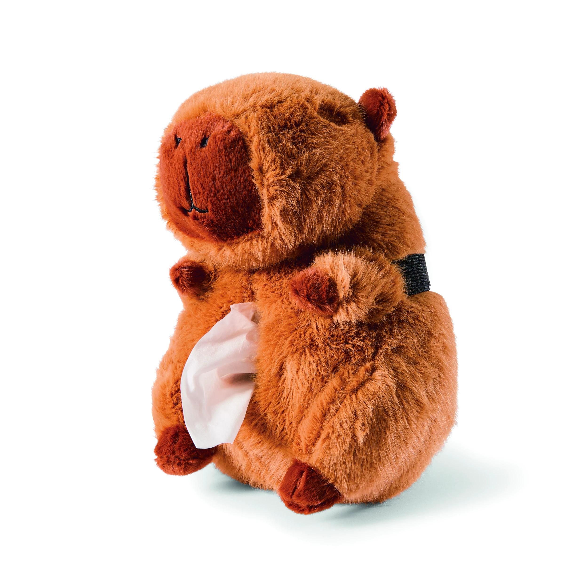 2 Car Tissue Holder - Capybara, 2 of 10