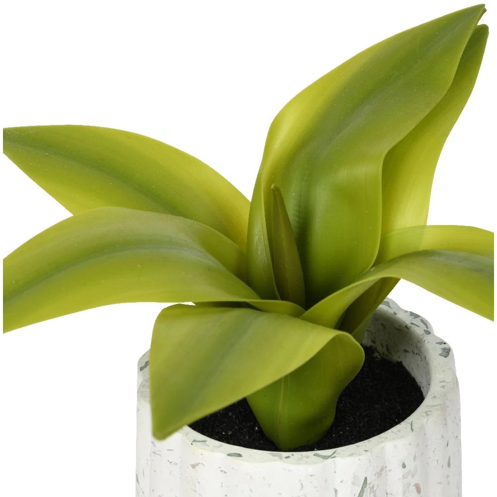 2 Otto Terrazzo Pot with Succulent Plant, 2 of 3