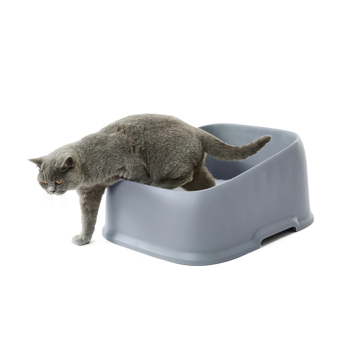 1 Cat Litter Tray High Side, 1 of 9