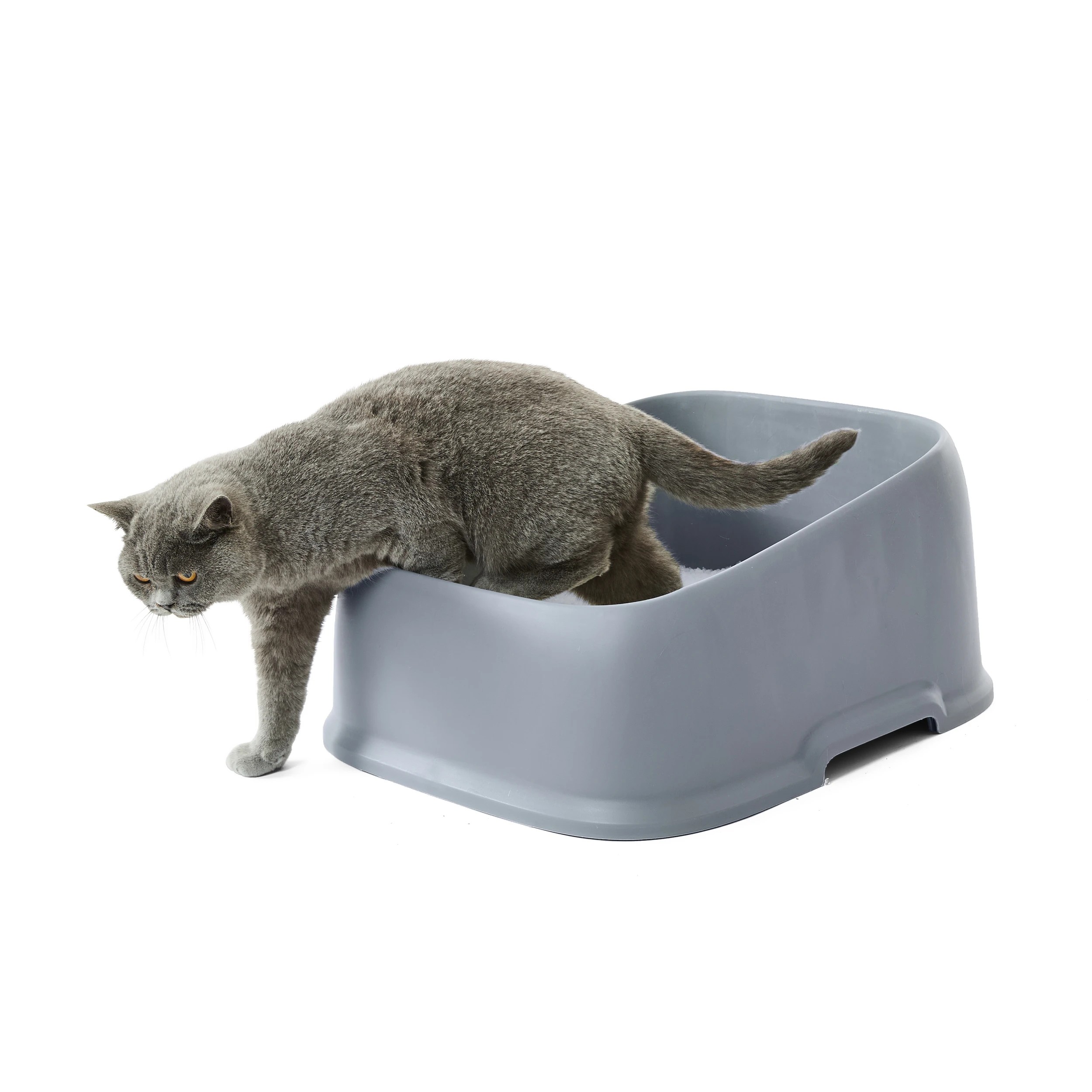 1 Cat Litter Tray High Side, 1 of 9
