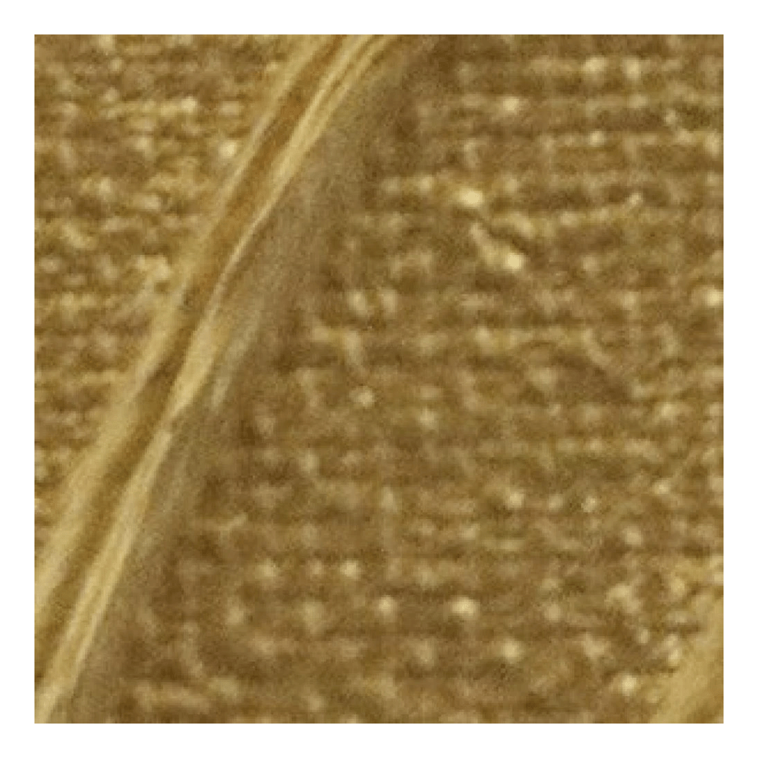 2 Pebeo Origin Acrylic Paint 120mL Gold, 2 of 2